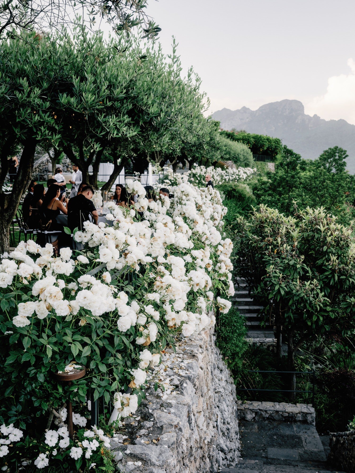 White roses cascading along the stone terrace overlooking the mountains at Caruso, A Belmond Hotel in Ravello, Italy, photographed by Jenny Fu.