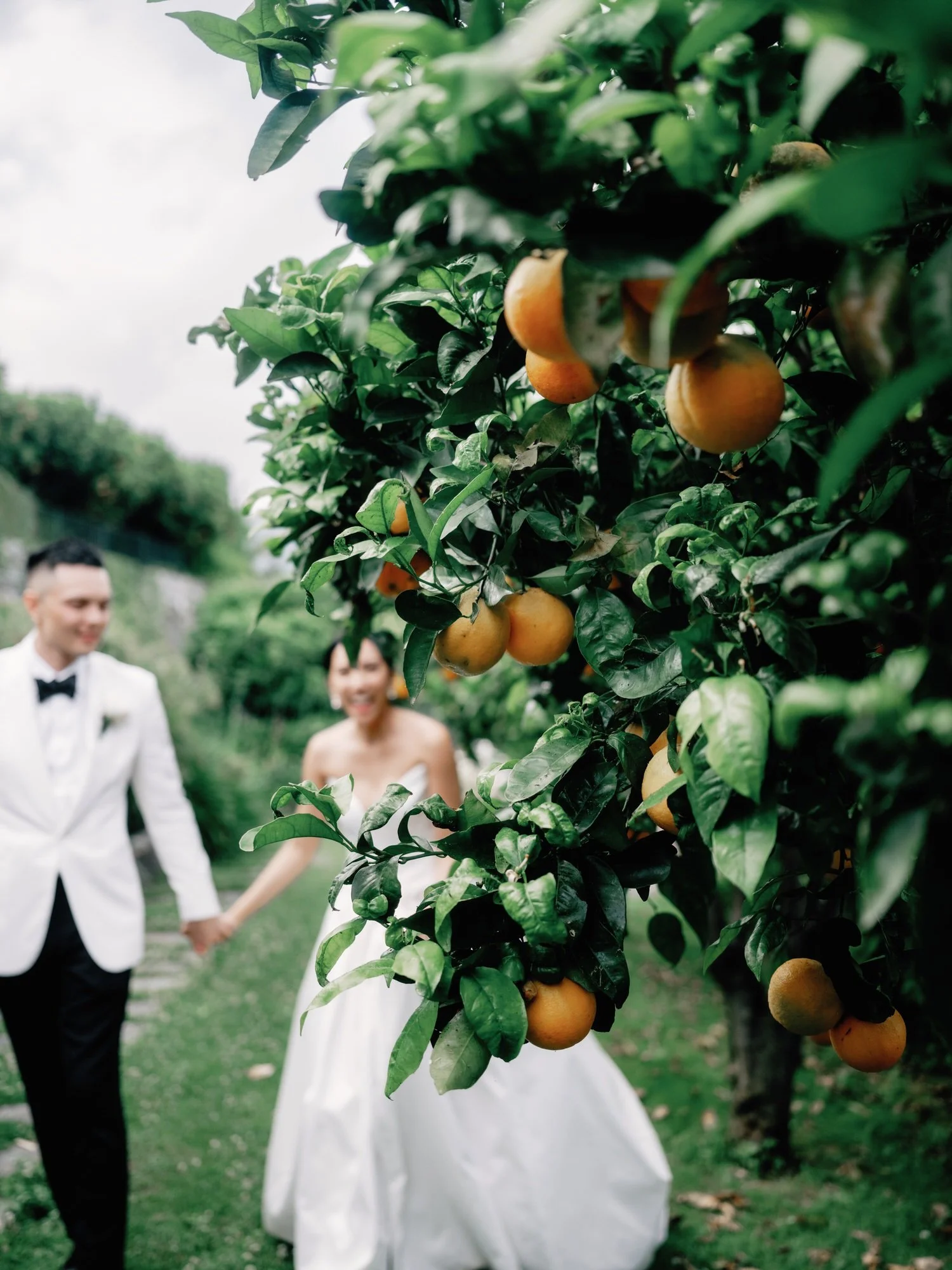 Bride and groom walking past orange trees in bloom on the garden path at Caruso, A Belmond Hotel in Ravello, Italy, photographed by Jenny Fu.
