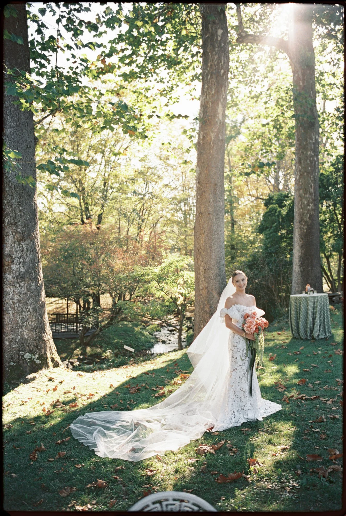 Bride standing with a long veil and bouquet on a sunlit lawn by the stream at Troutbeck in Amenia, New York, photographed by Jenny Fu.