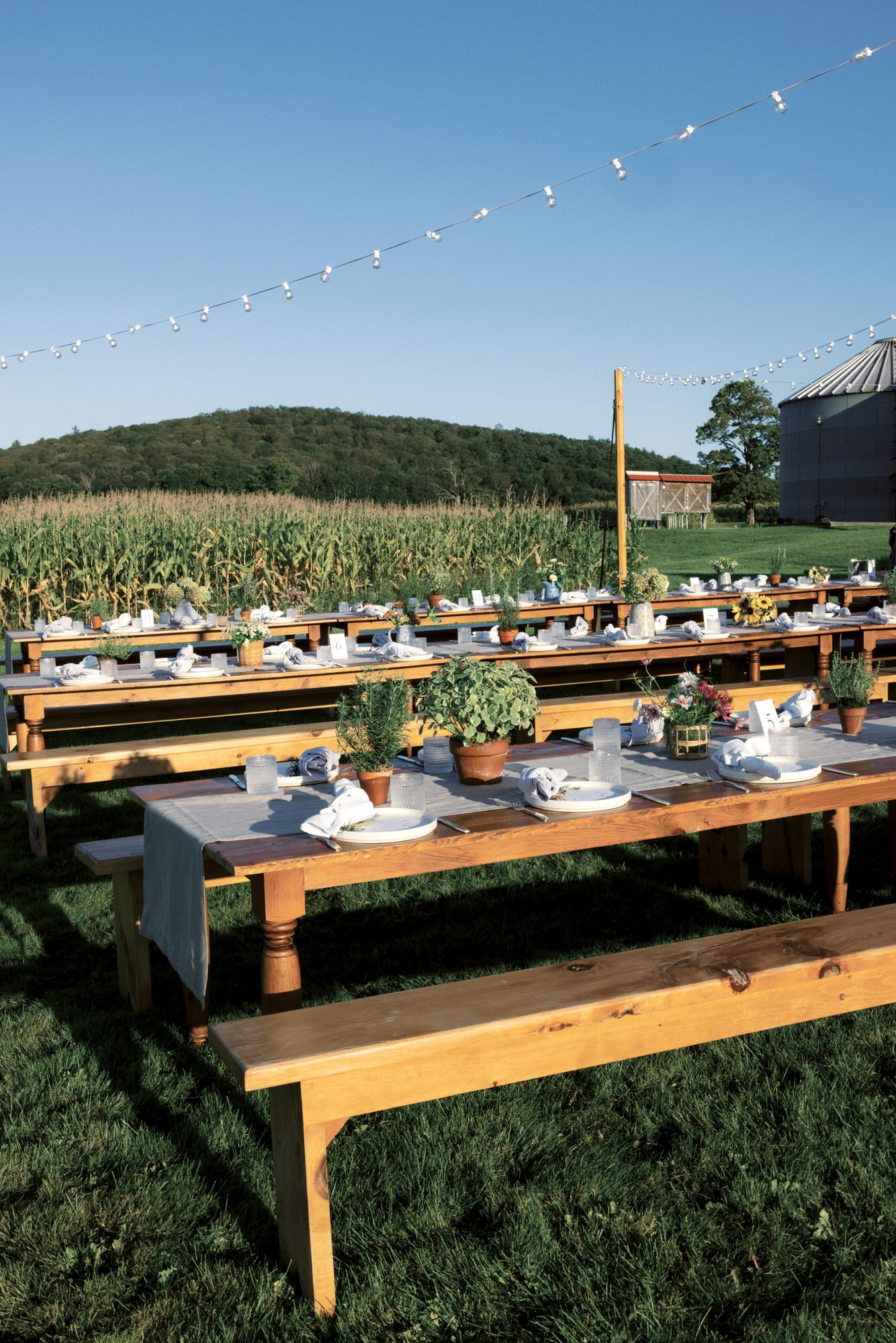 Rustic outdoor dinner setup with long wooden tables, potted herbs, and string lights against a scenic countryside backdrop at Lion Rock Farm in Sharon, CT, photographed by Jenny Fu.