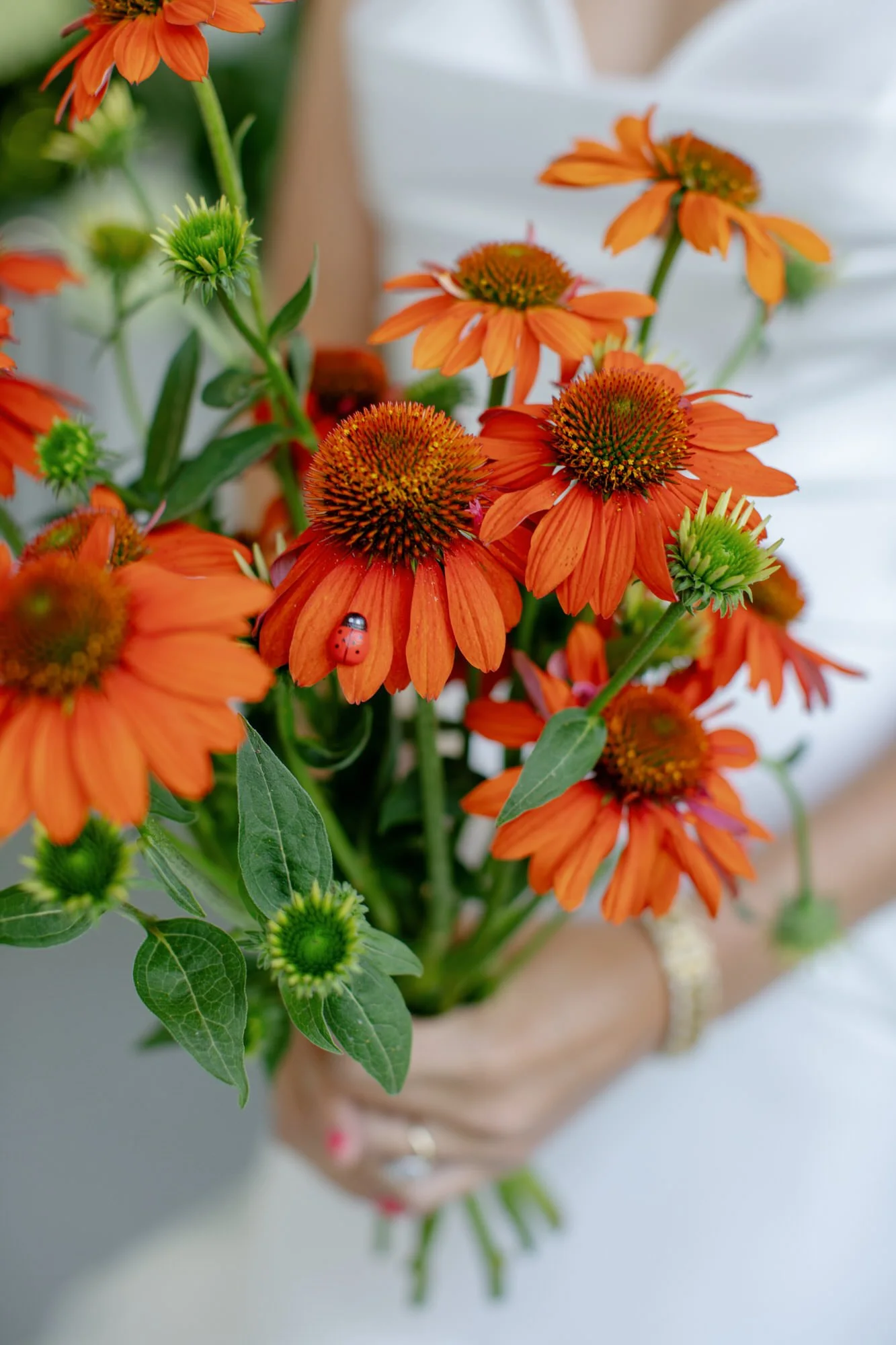 Close-up of orange coneflowers in a bridal bouquet with a ladybug at Valley Rock Inn in Sloatsburg, photographed by Jenny Fu.