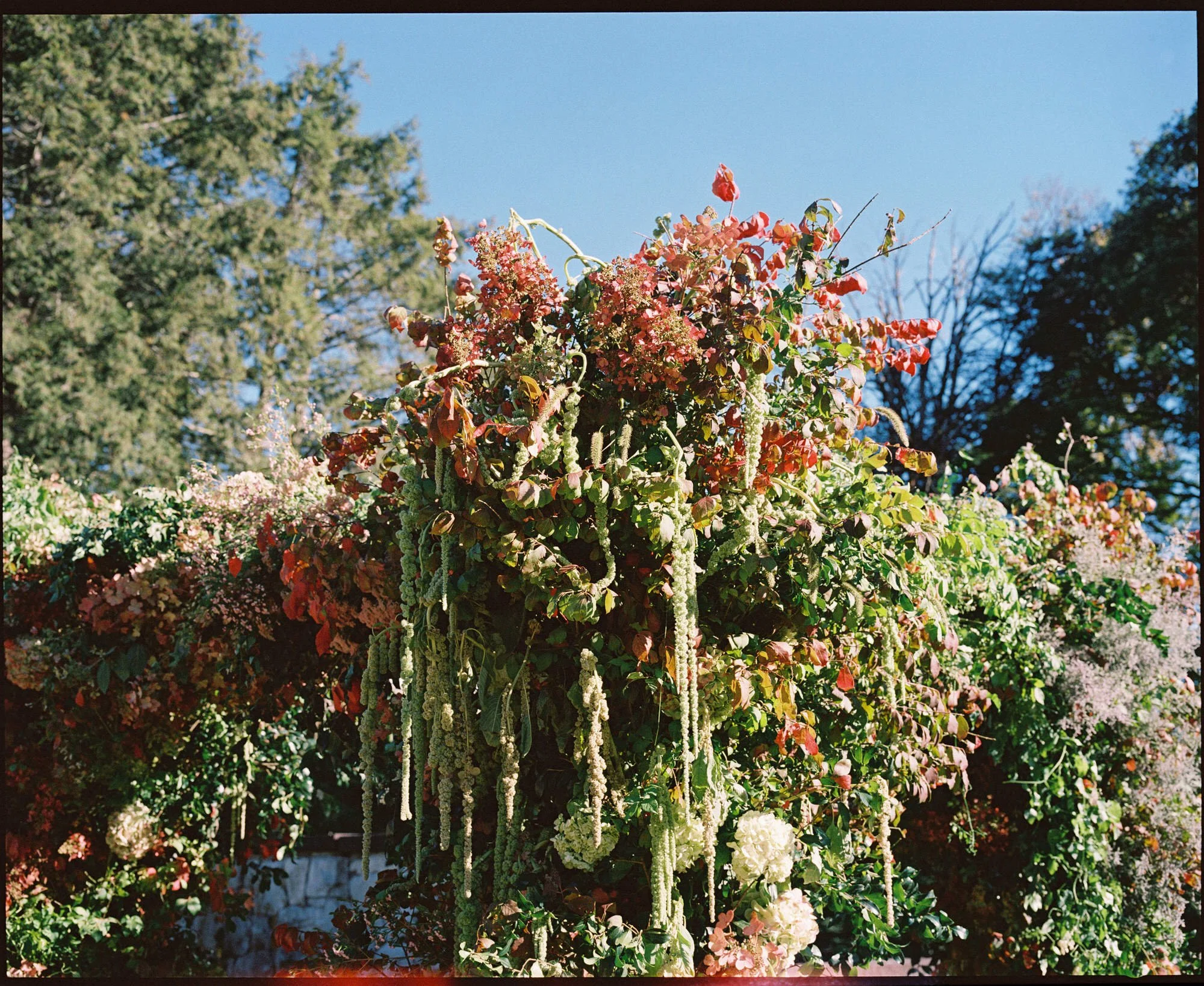 Sunlit close-up of a lush floral ceremony arch with cascading greenery at Troutbeck in Amenia, photographed by Jenny Fu.