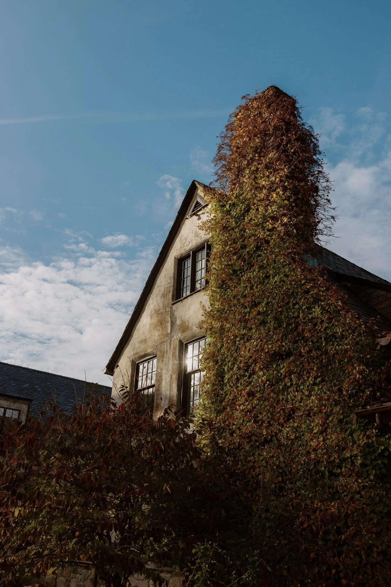 JEB-0847-ivy-covered-estate-under-blue-sky-troutebeck-jenny-fu.jpg