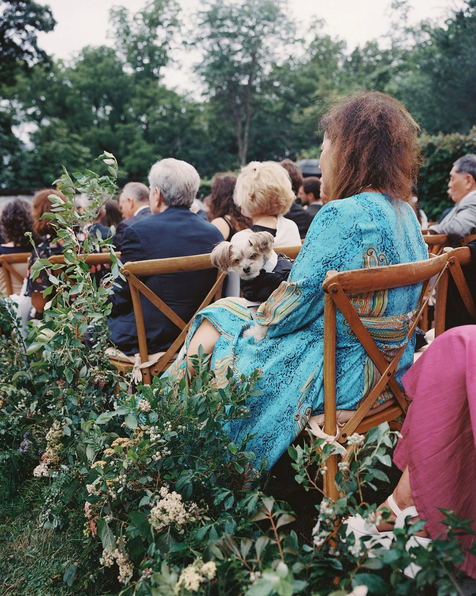 aa-0678-dog-sitting-with-guest-during-ceremony-troutbeck-amenia-ny-planned-by-ashley-douglass-jenny-fu.jpg