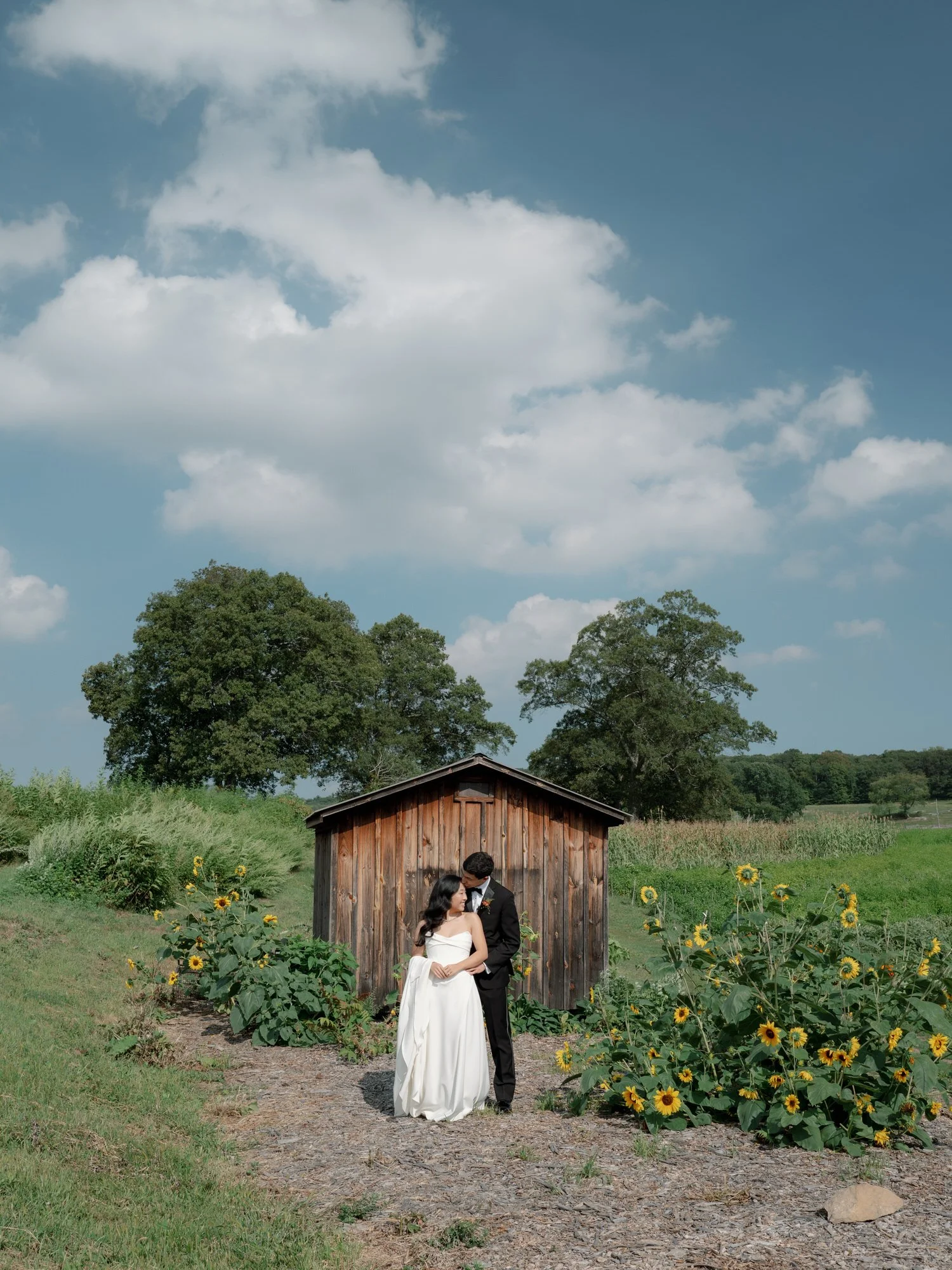 Bride and groom sharing a kiss by the wooden shed with sunflowers under a wide summer sky at Blue Hill at Stone Barns, photographed by Jenny Fu.
