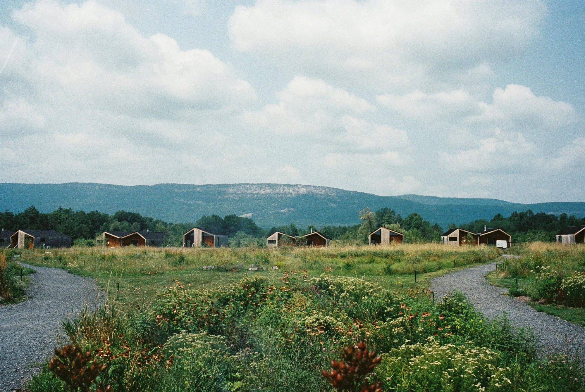 Row of modern cabins in open field with mountain backdrop and wildflowers in the foreground at Wildflower Farms