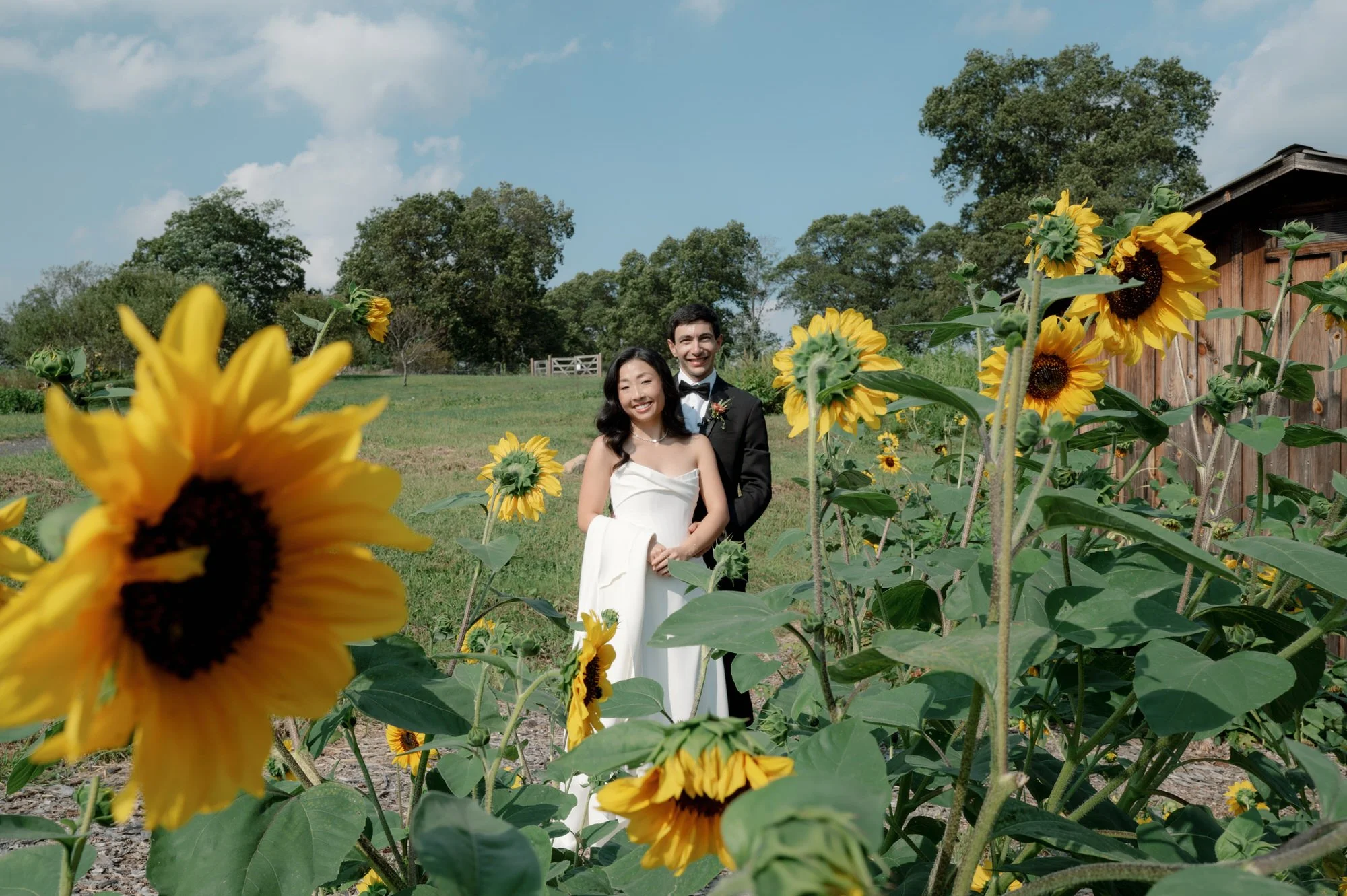Bride and groom framed by sunflowers beside the farm shed under a summer sky at Blue Hill at Stone Barns, photographed by Jenny Fu.