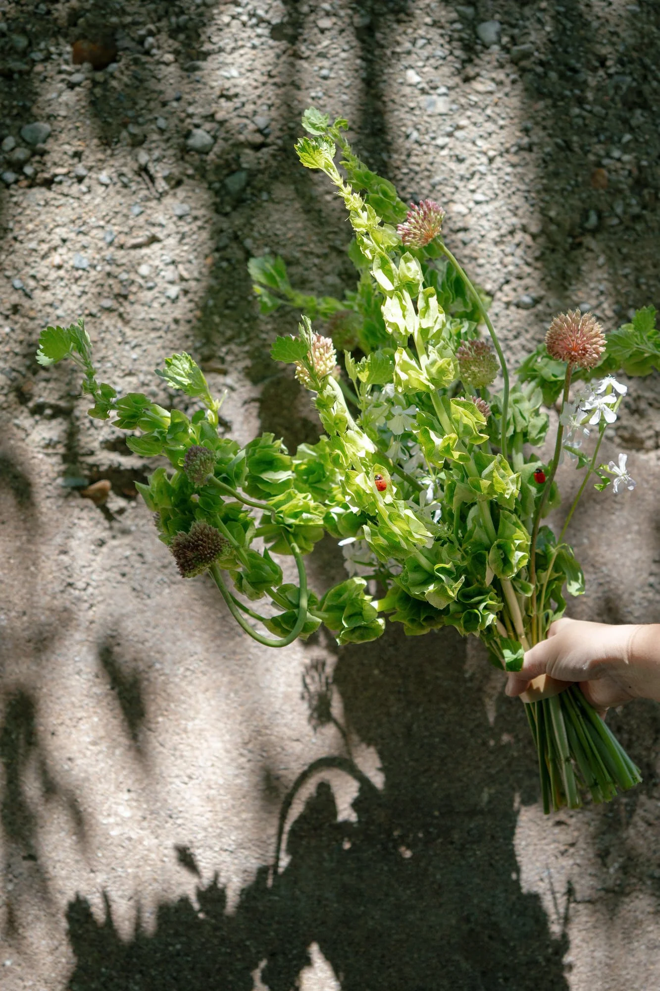 Handheld loose green bouquet photographed against a textured wall at Valley Rock Inn in Sloatsburg, photographed by Jenny Fu.