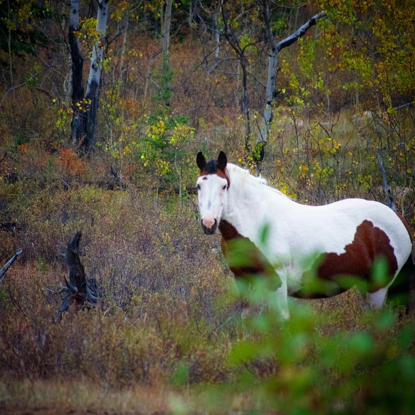 a great future does not require a great past 𓃗
started my LLC today 📷 🖼️ SELLING PRINTS⚠️
👀 🍌 keep your eyes peeled for the launch of my website coming soon 😗