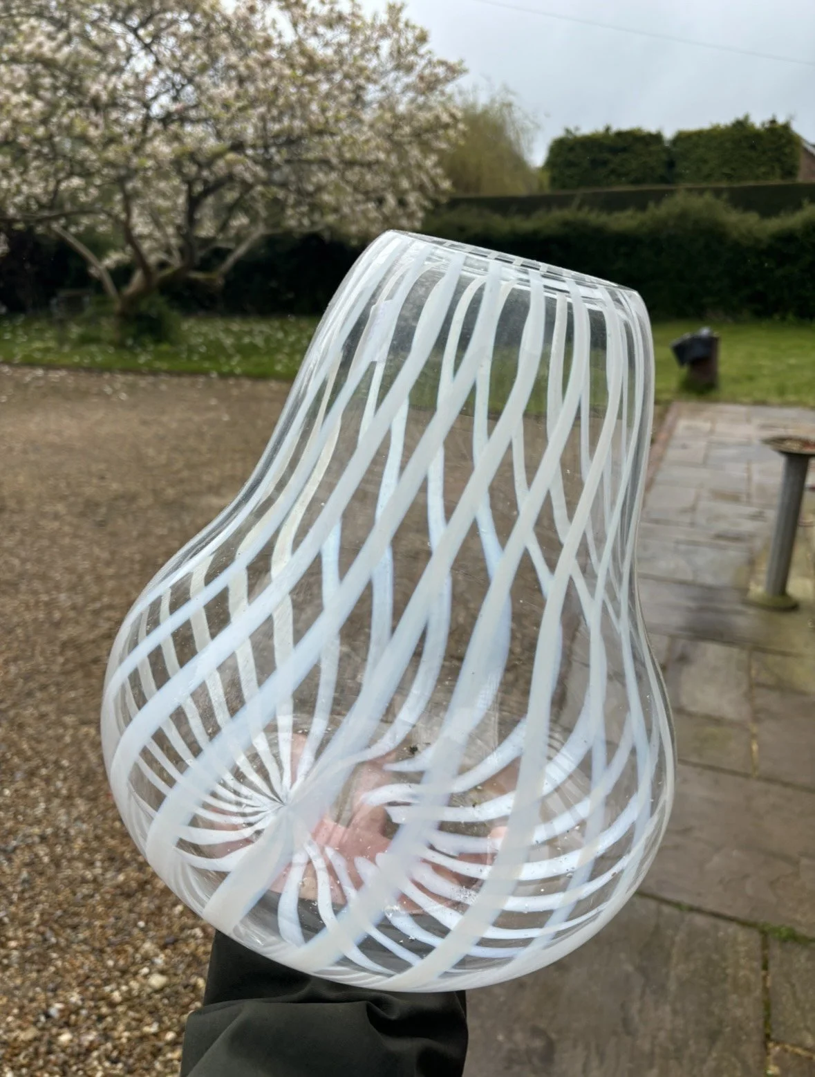 image_123650291 (2).JPG