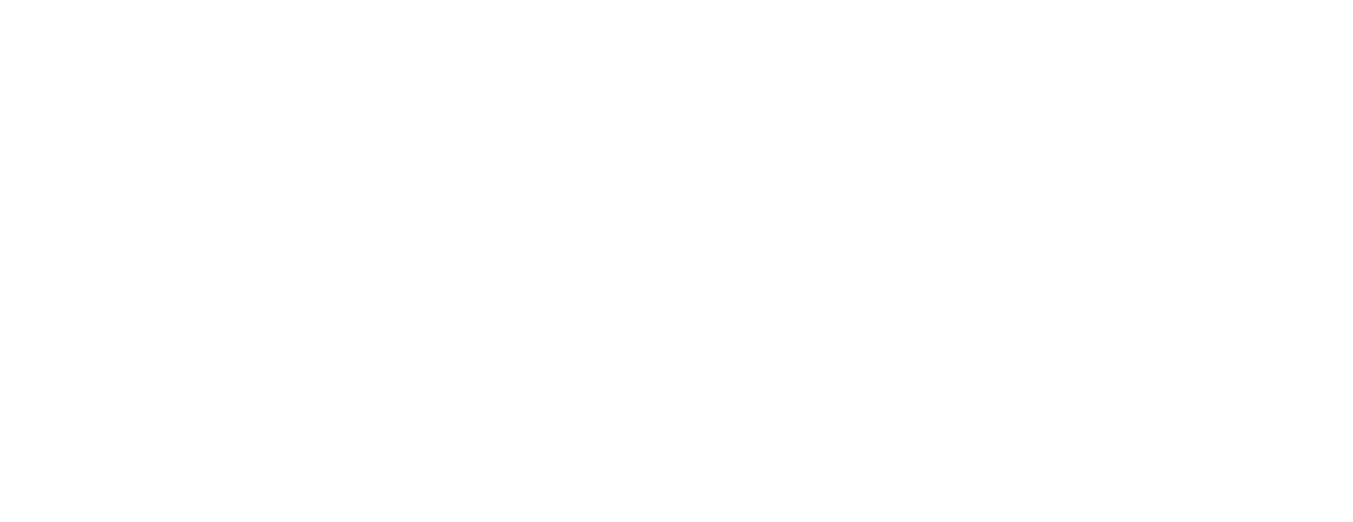 Savage Development