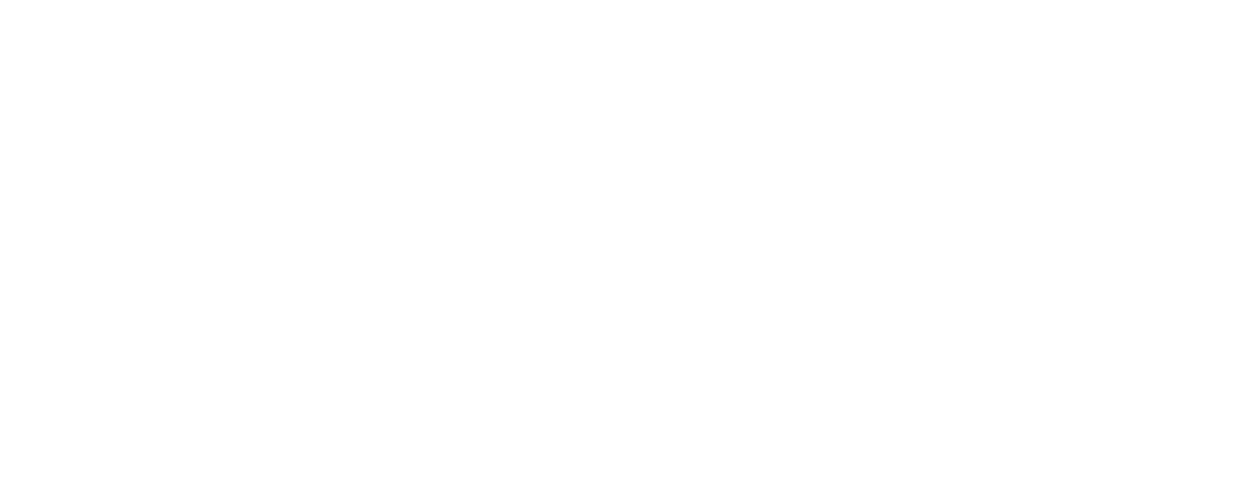 Logo for Savage Development featuring a stylized house icon and text.
