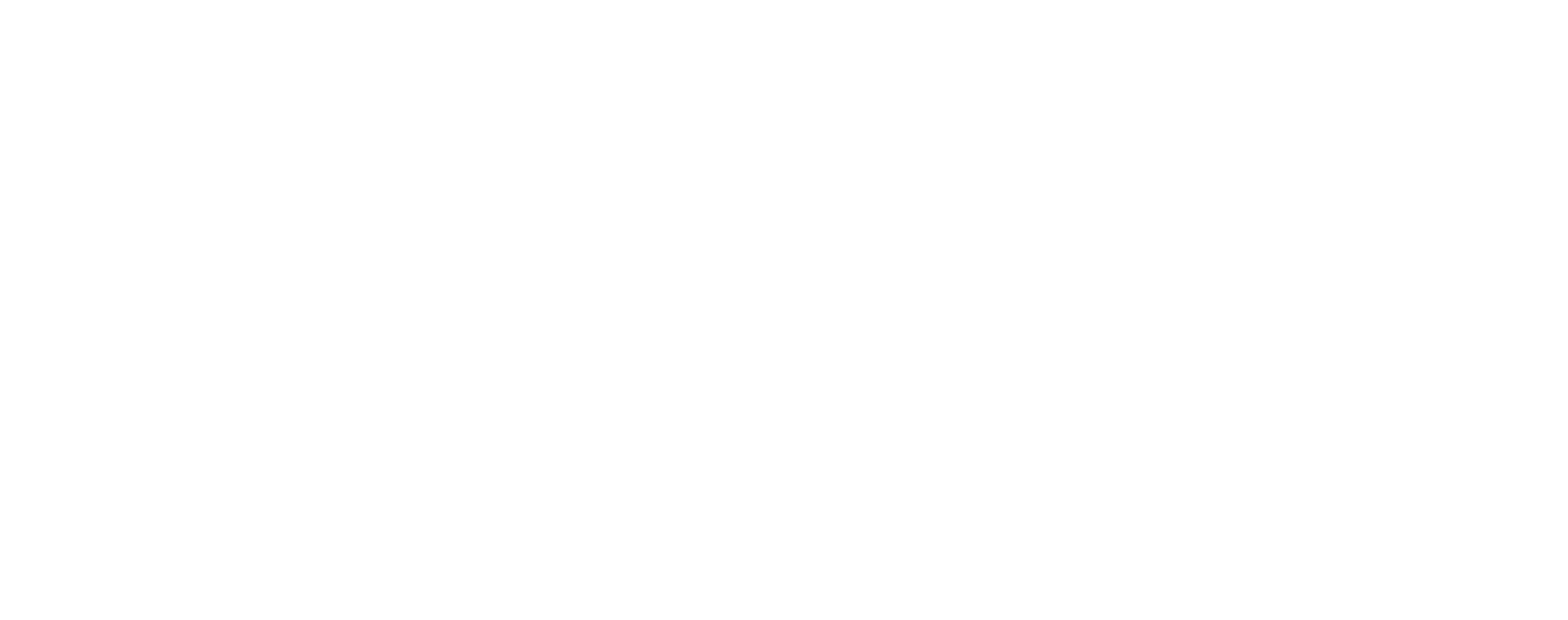 Logo of Savage Improvement featuring a stylized house icon and the text 'SAVAGE Improvement' in bold.