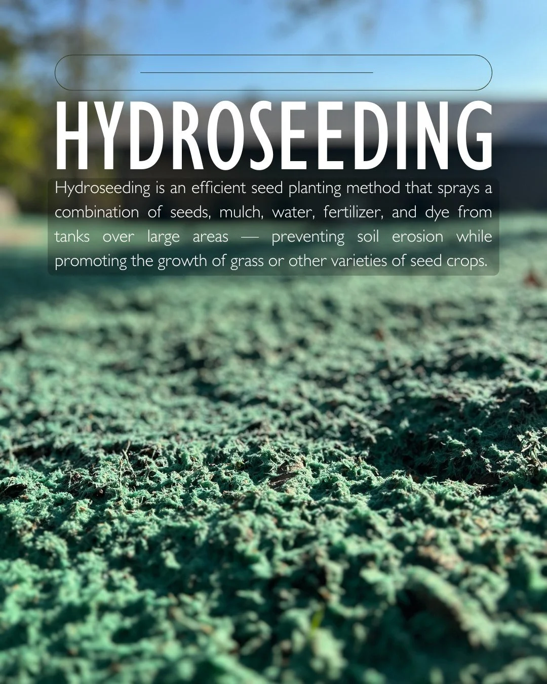 Ever seen the green spray on new lawns? That&rsquo;s hydroseeding 💦🌱 It&rsquo;s faster, more affordable, and creates strong root systems.