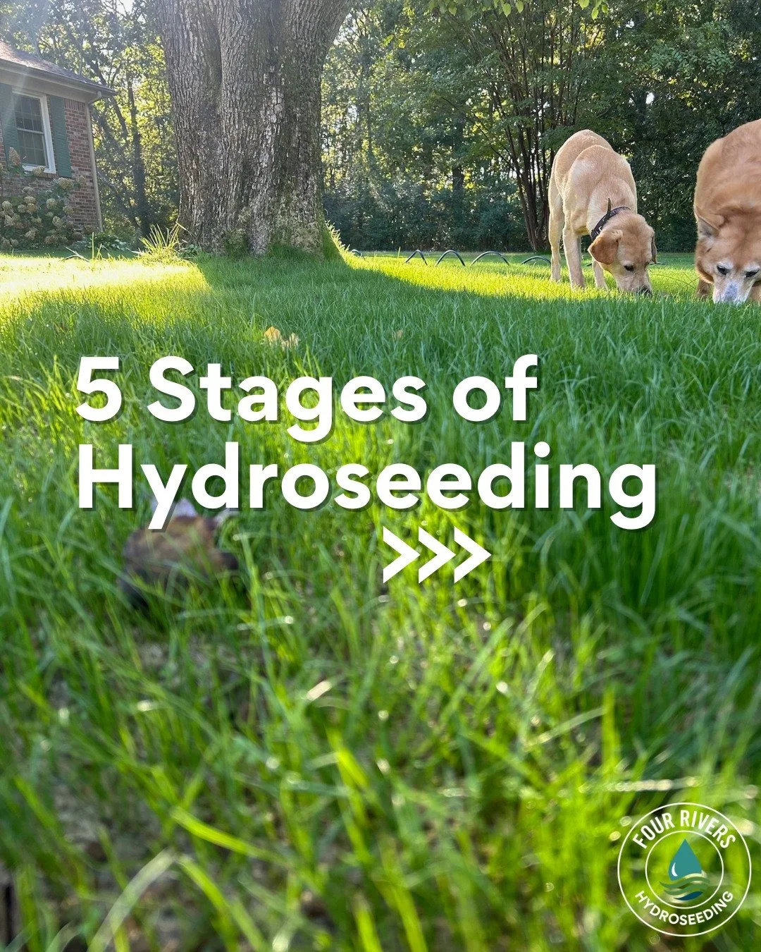 From bare ground to established roots 🌱 Hydroseeding is a process, and every stage matters. Swipe through to see how it works&mdash;from the first prep to the foundation you can&rsquo;t see but will feel.
⠀
Save this post if you&rsquo;re planning a 