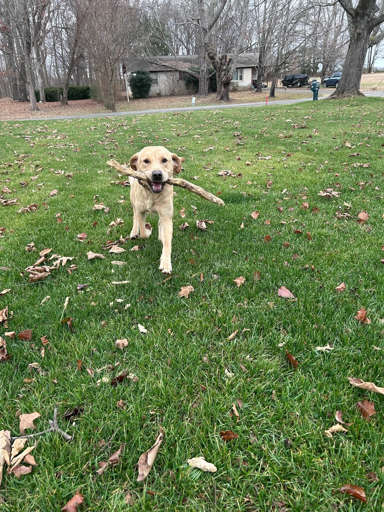 It may be cold outside ❄️, but great lawns never go out of season 🌱