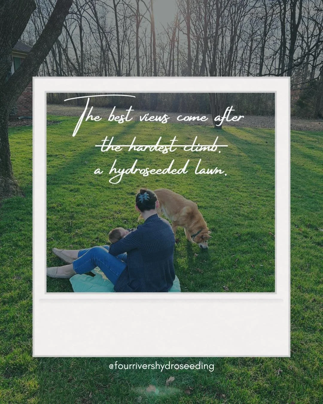 POV: your yard becomes your favorite place to be