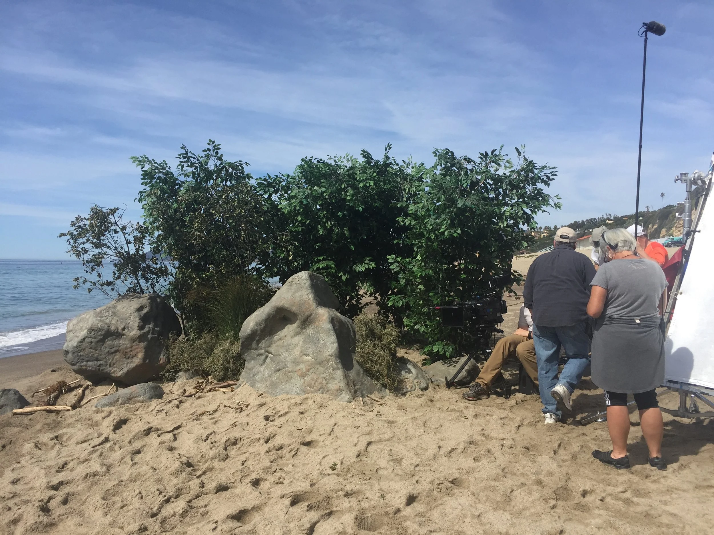 Library - 1 of 2.jpeg