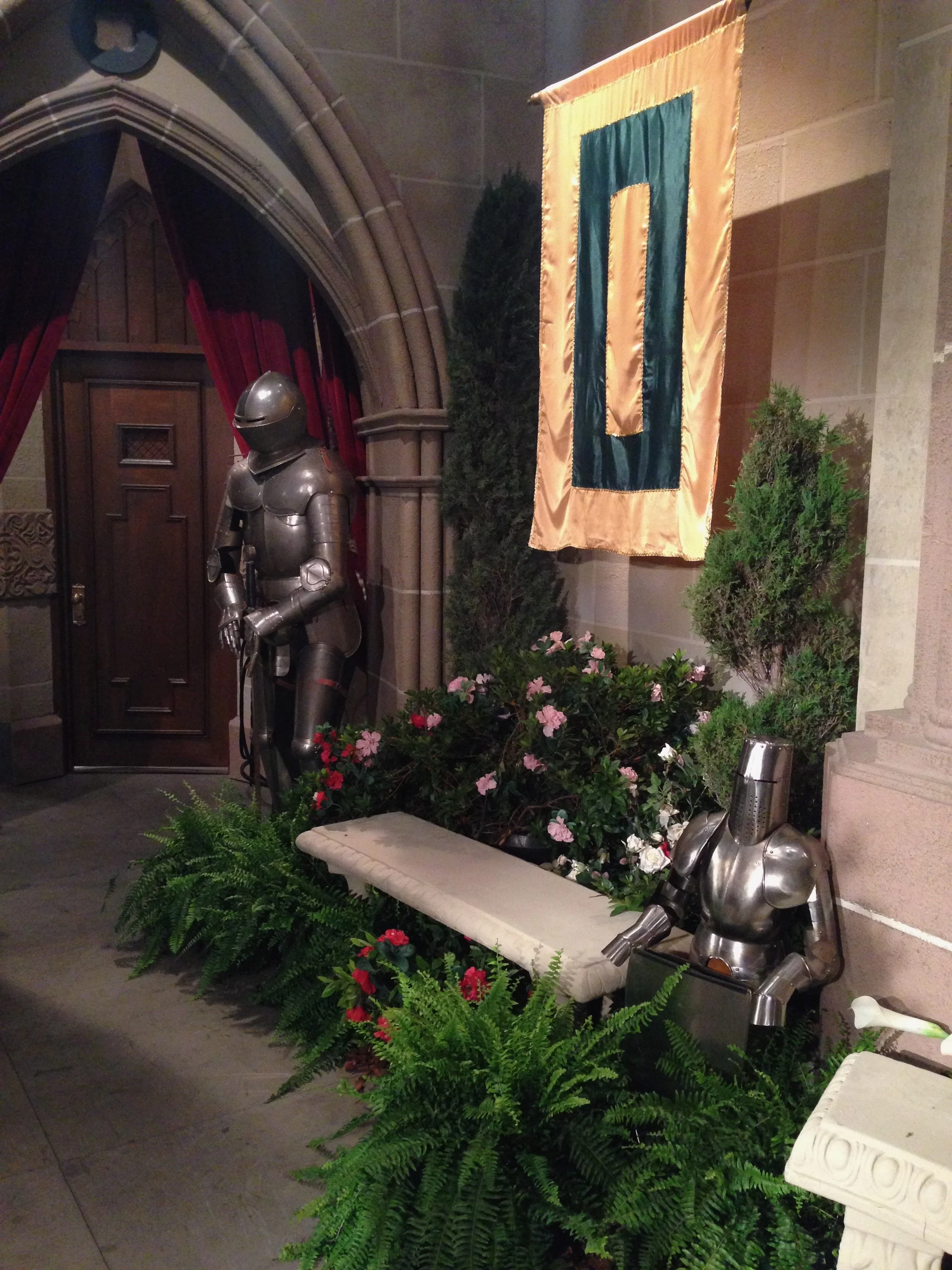 Library - 1 of 3 (2).jpeg