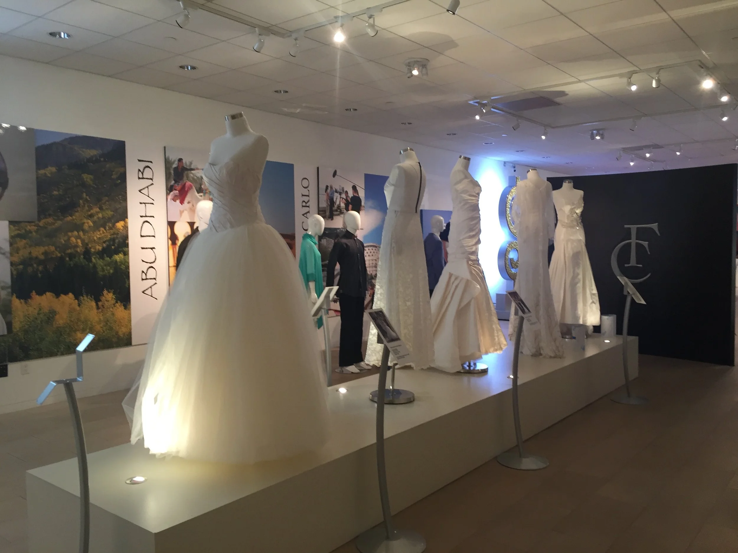 Library - 6 of 17.jpeg