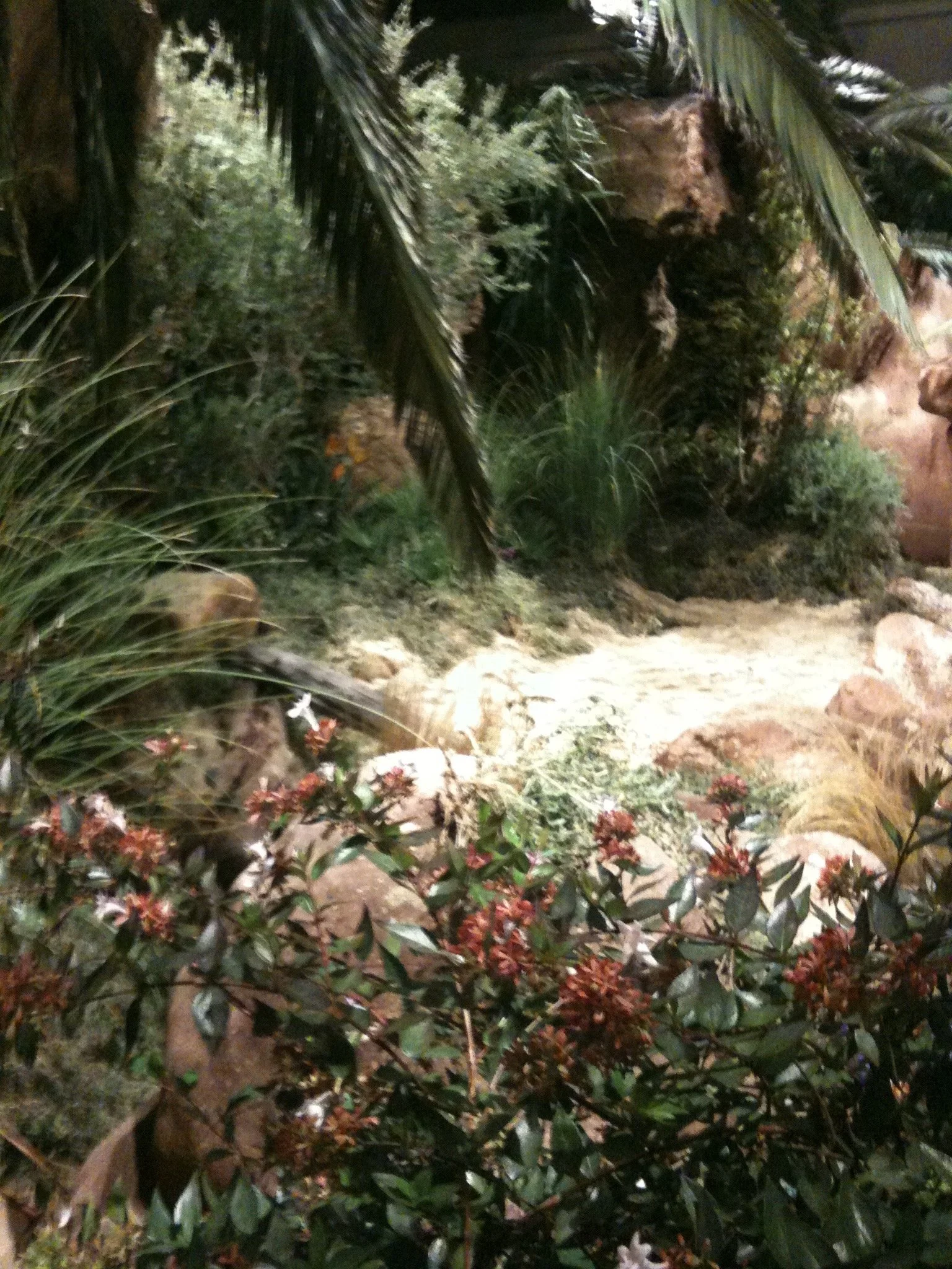 Library - 1 of 1.jpeg