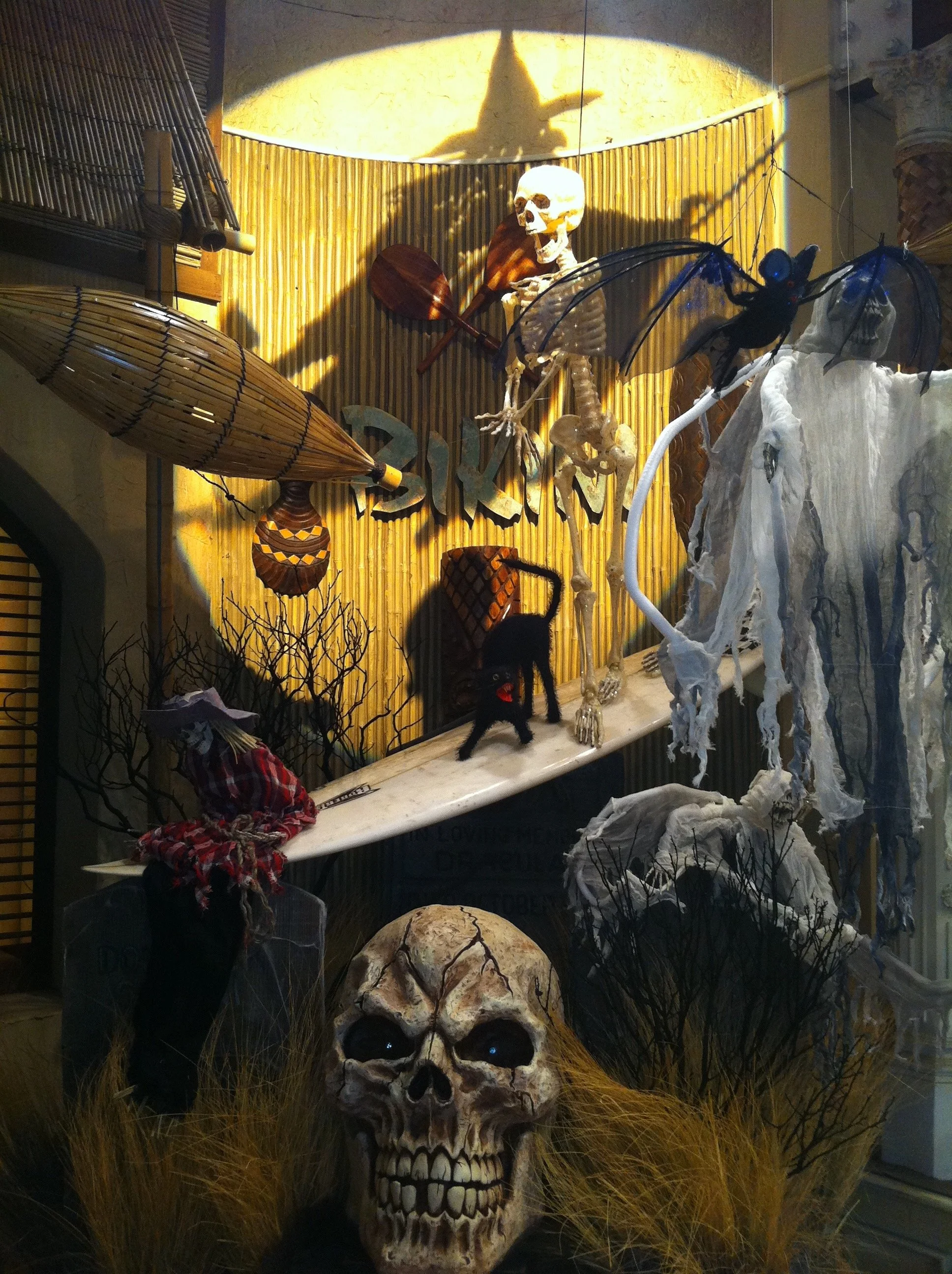 Library - 8 of 18.jpeg