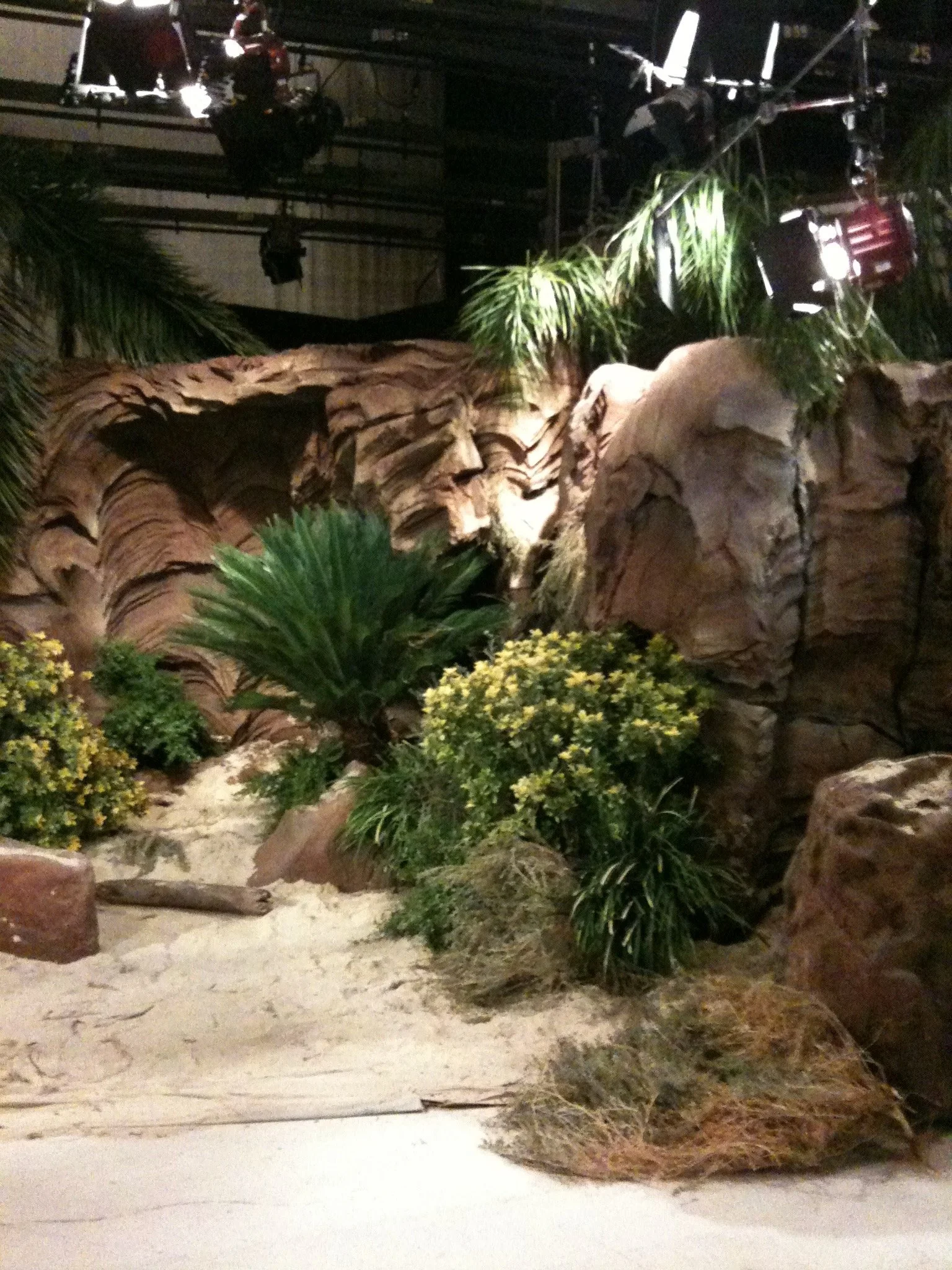 Library - 1 of 2 (1).jpeg