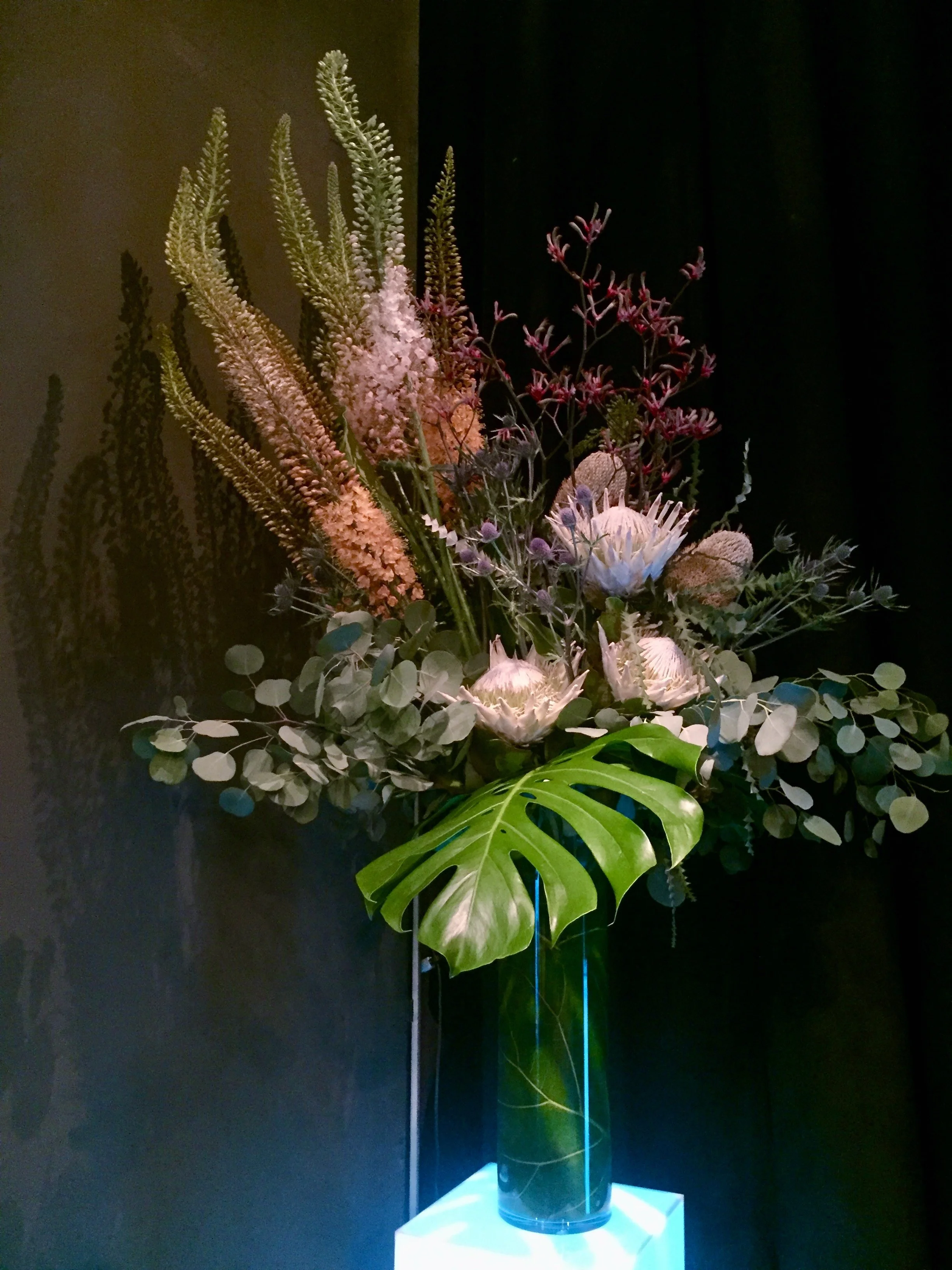 Library - 5 of 8.jpeg