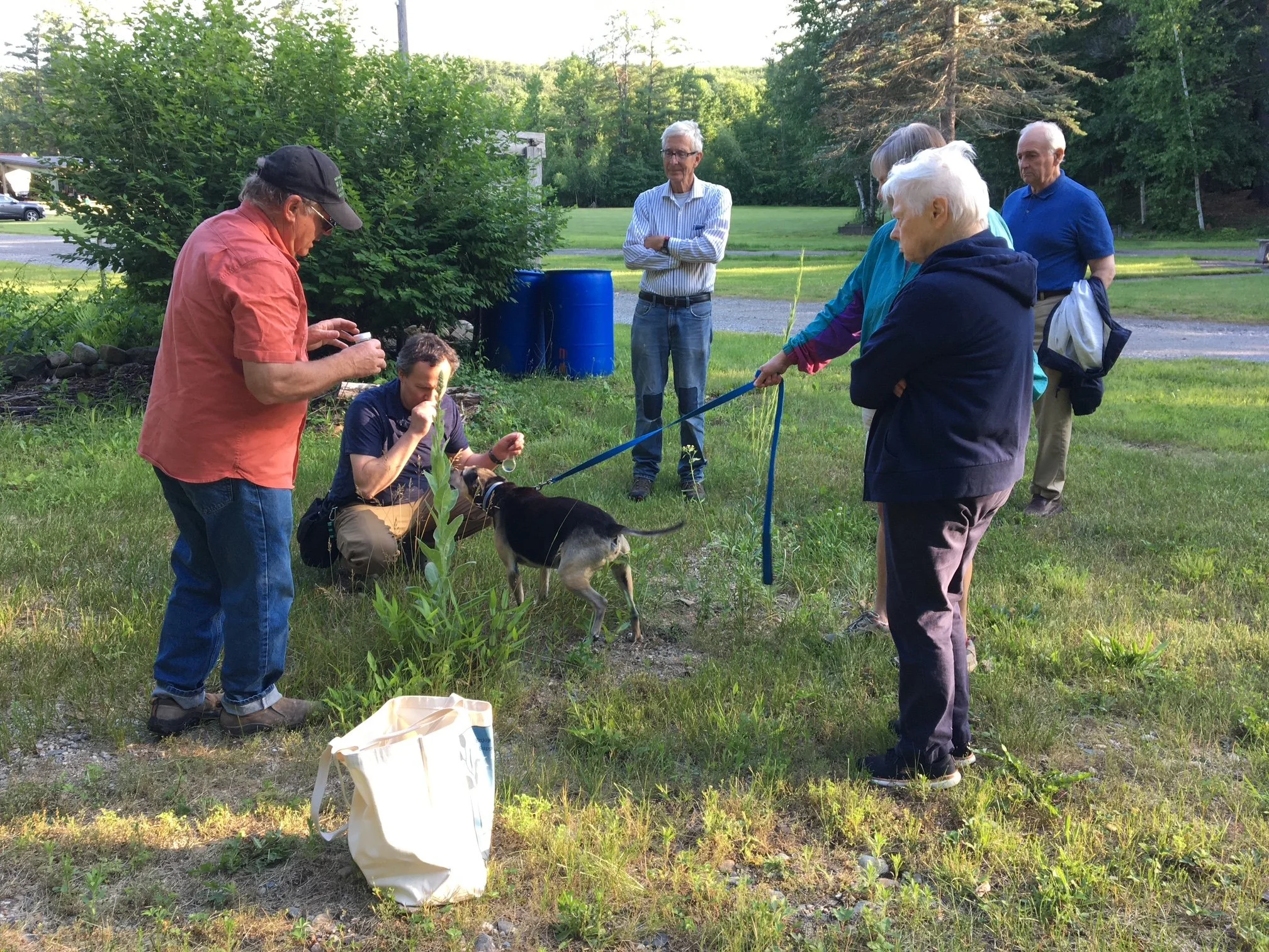 Nature Walks with Mike