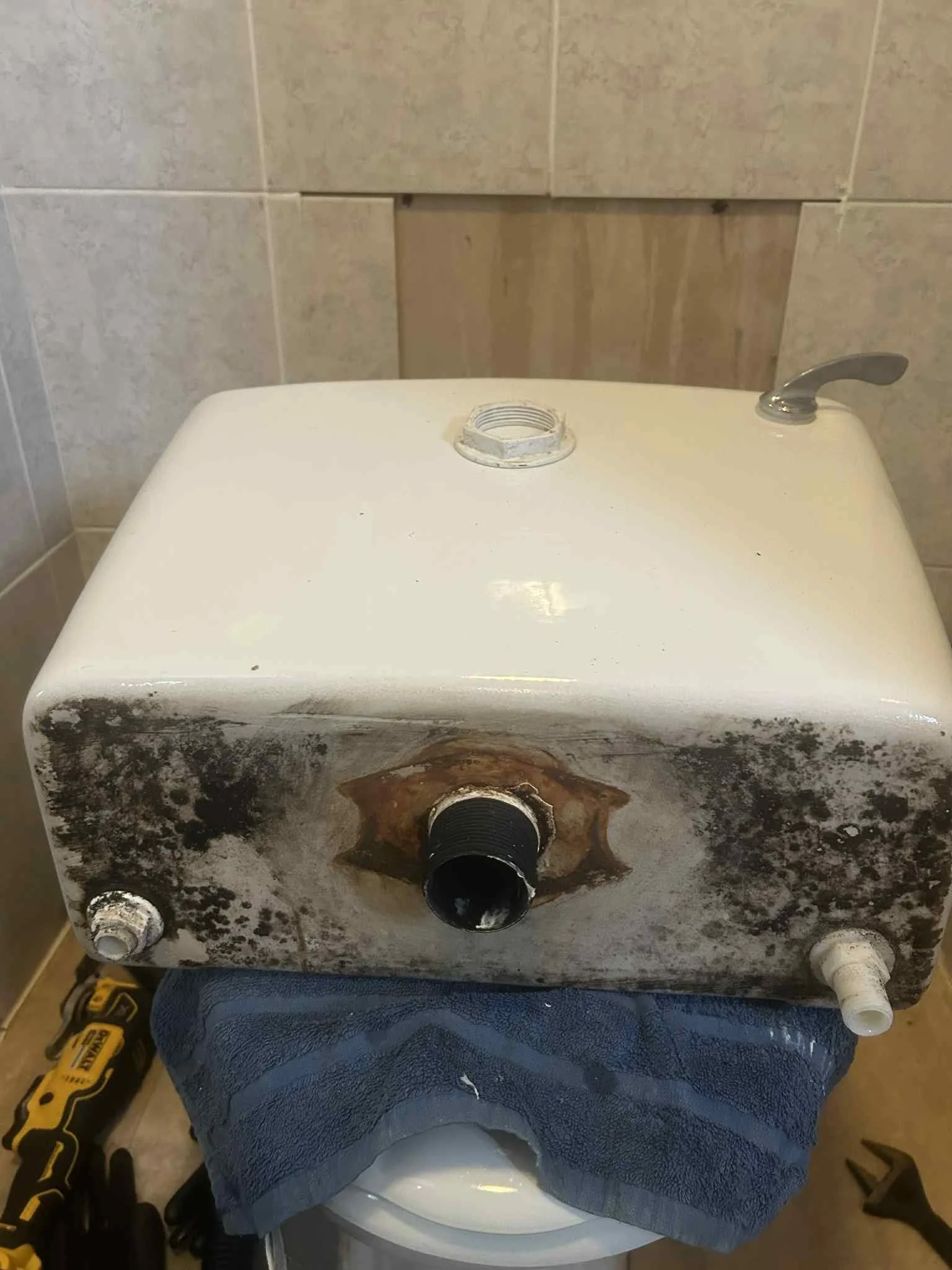 Rotten toilet bracket.jpeg