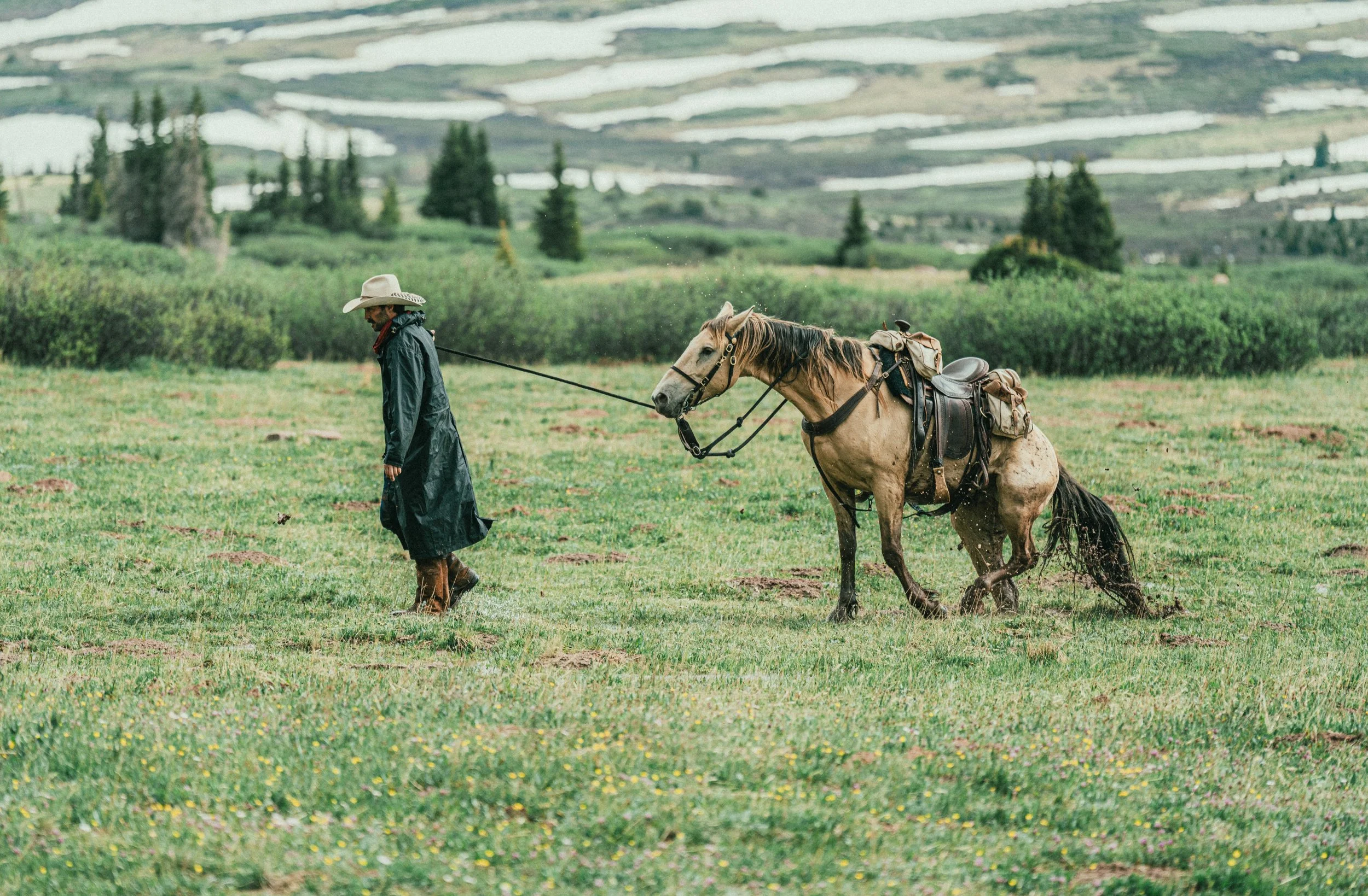 A person walking a horse in a grassy field with patches of water, with rolling hills and trees in the background.