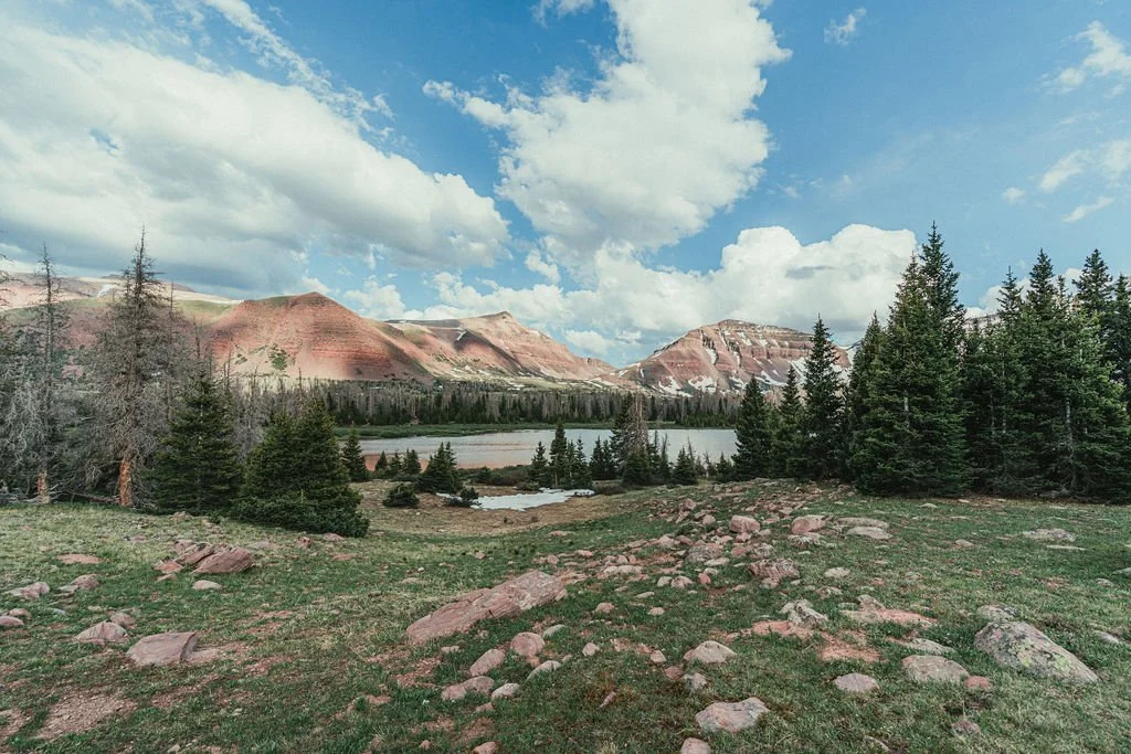 Scenic landscape of a mountainous area with pink and white striped mountains, pine trees, a small lake, and a partly cloudy sky.