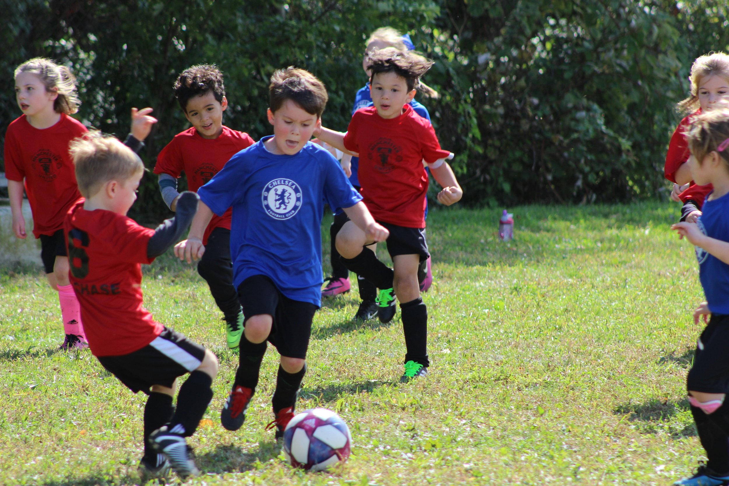 Children playing soccer outdoors on a grassy field, wearing red and blue jerseys, with trees in the background.