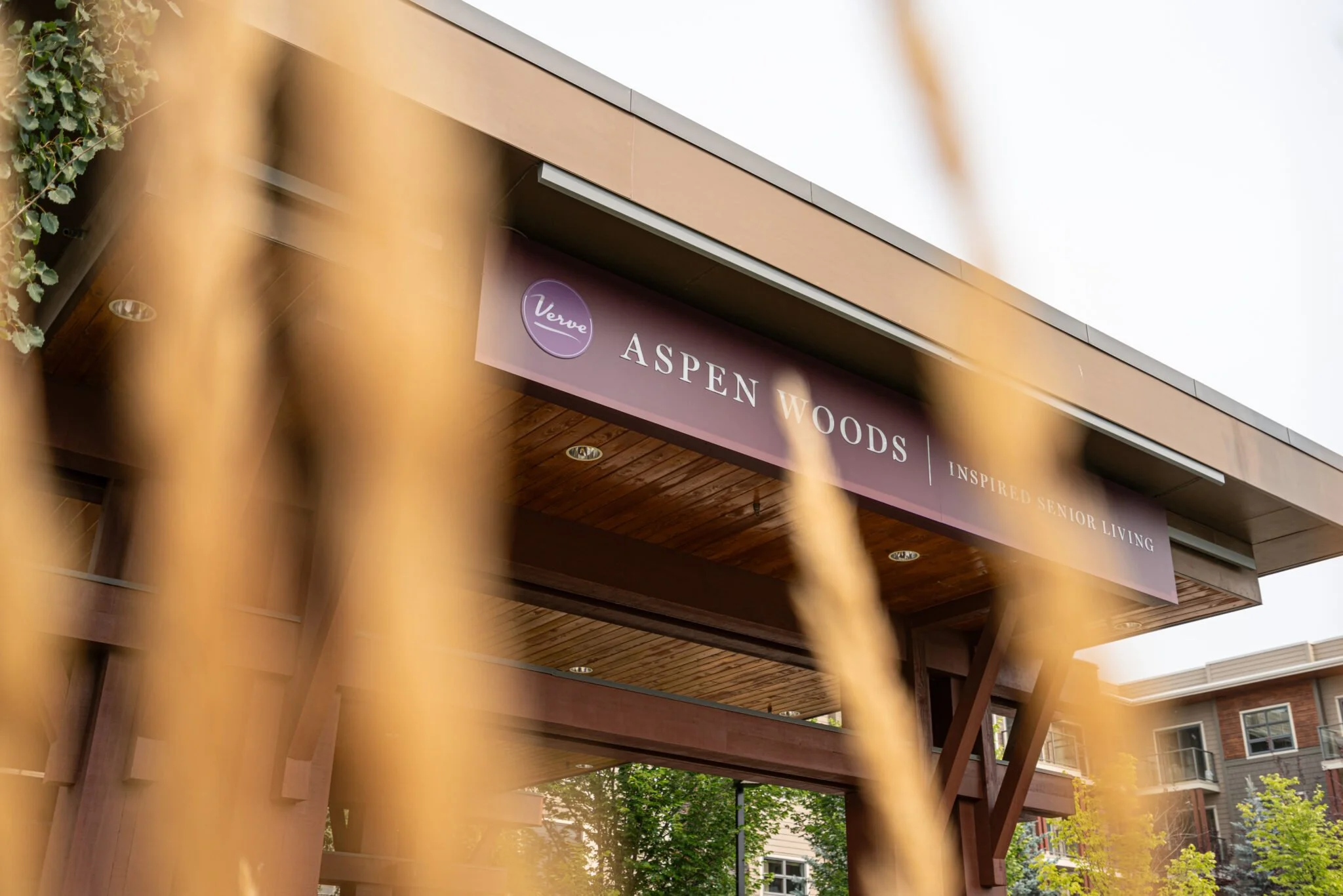 An image of Greenspacing.