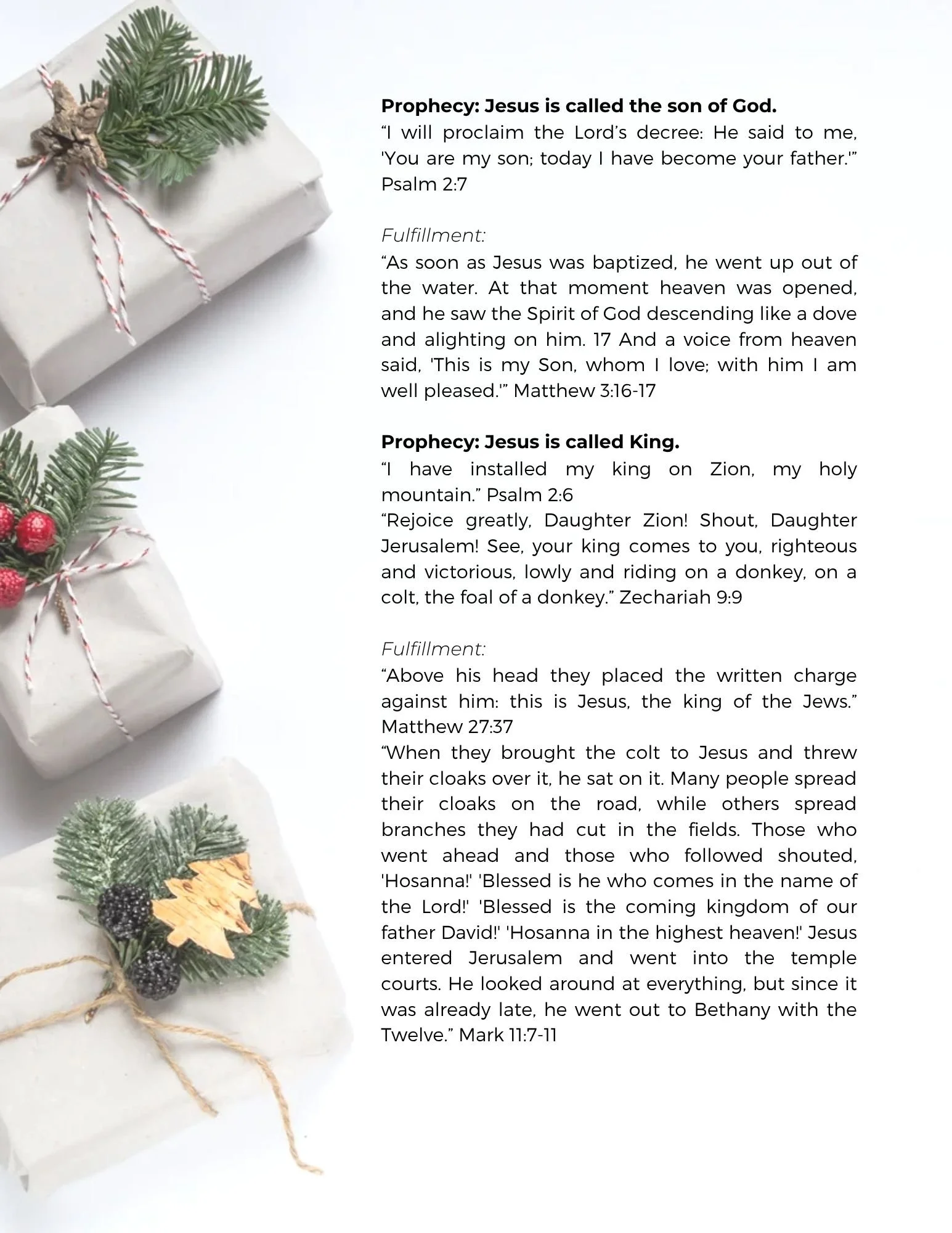 Christmas-themed PDF lead magnet design