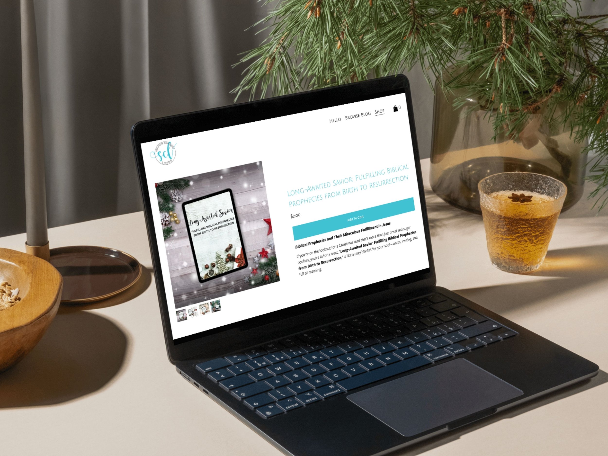 Holiday Promotion packages for business owners