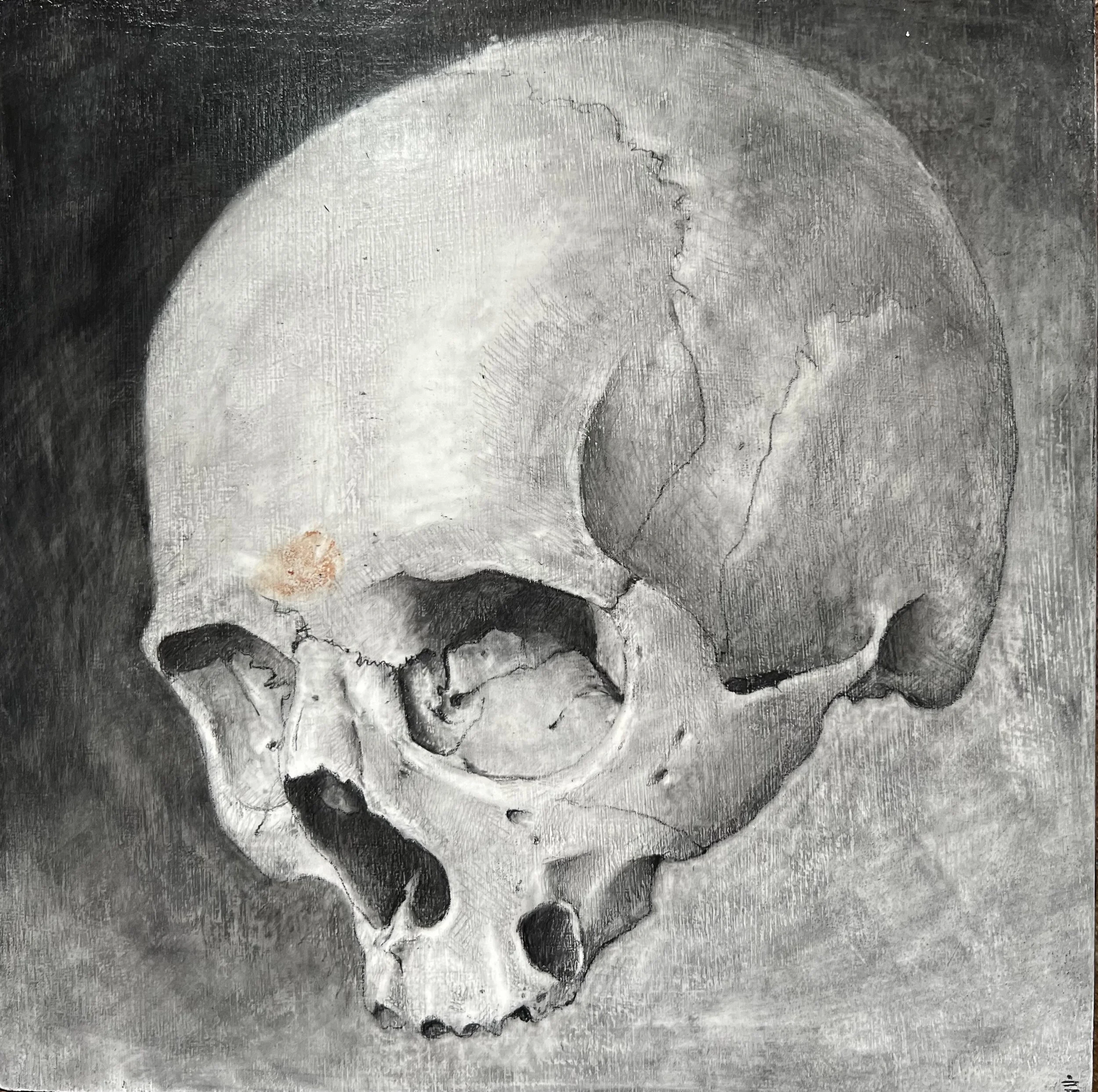 Skullstudy17:25.jpg