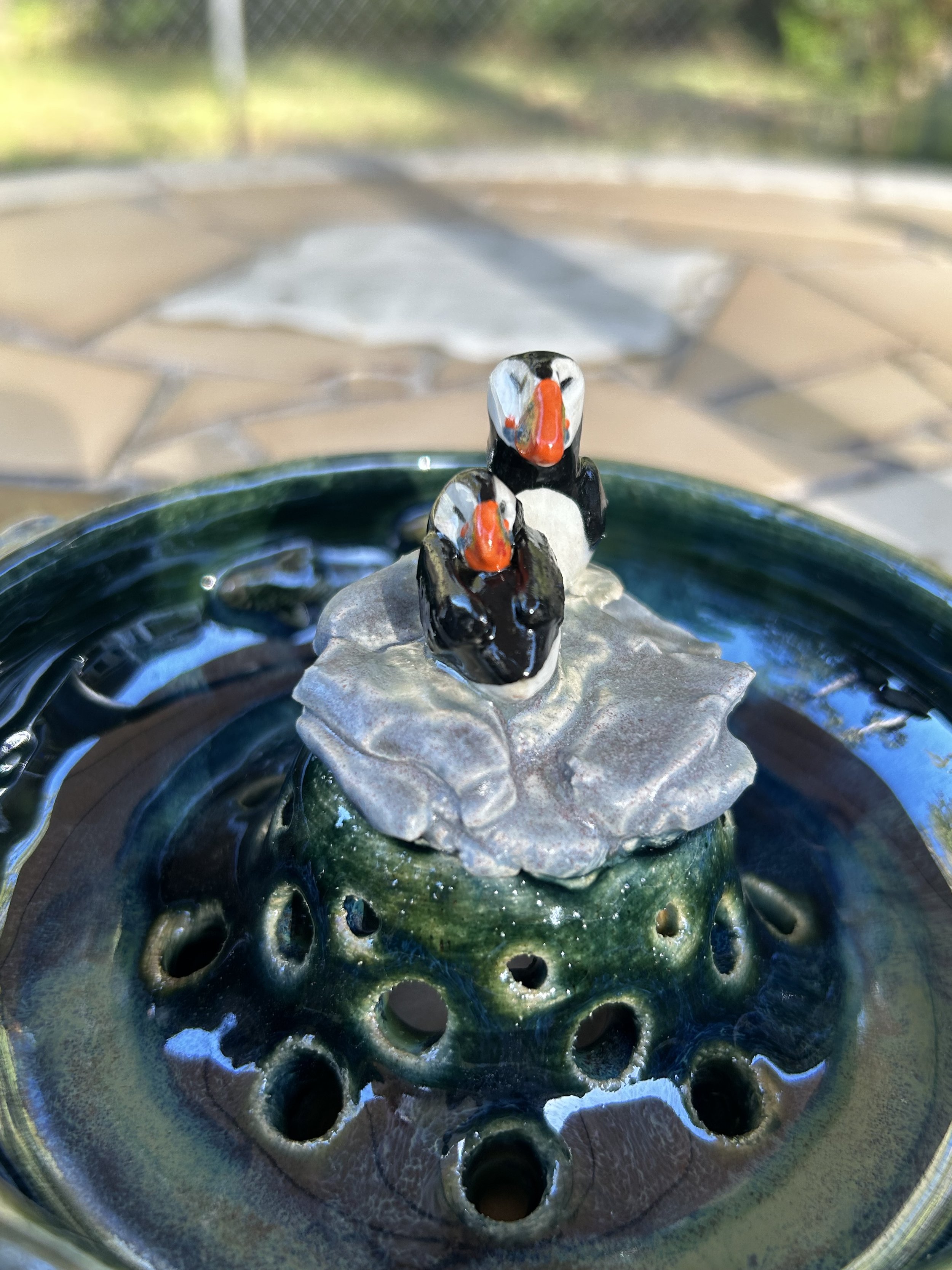 IMG_3036.jpeg