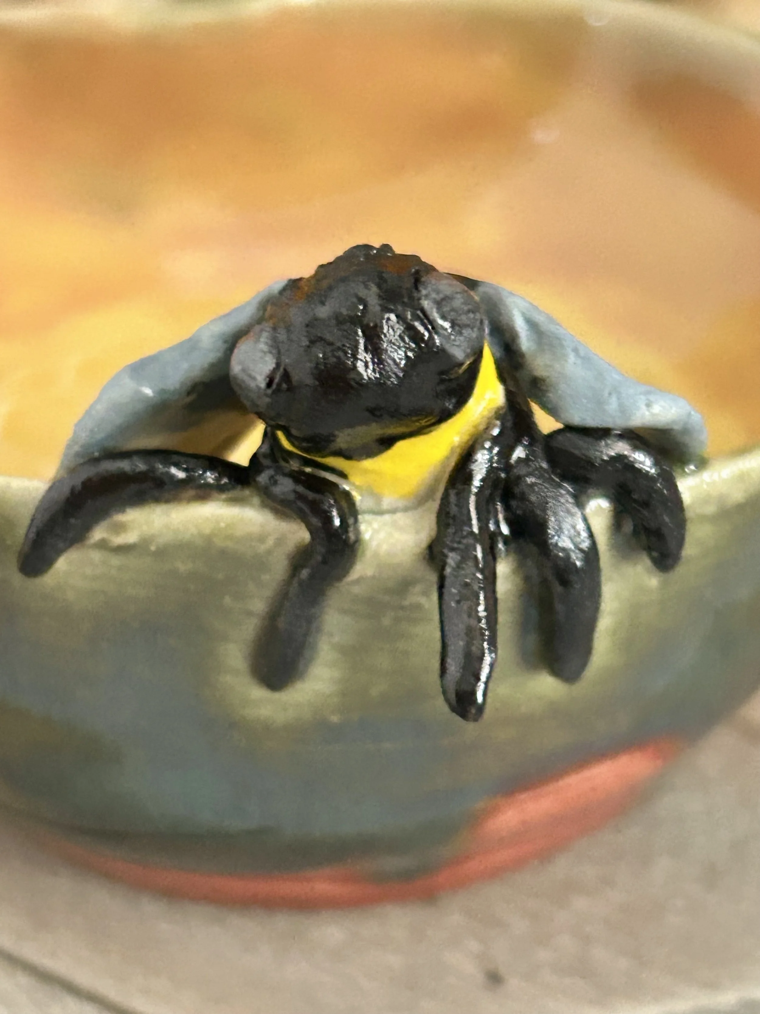 A black and yellow poison dart frog perched on the edge of a metallic container.