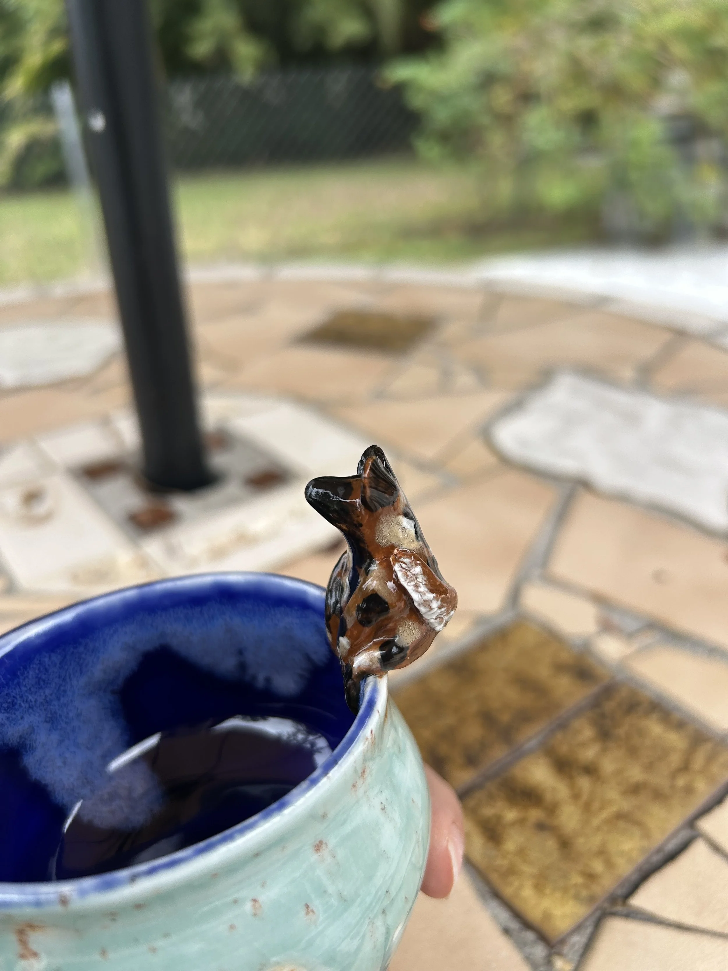 IMG_2883.jpeg