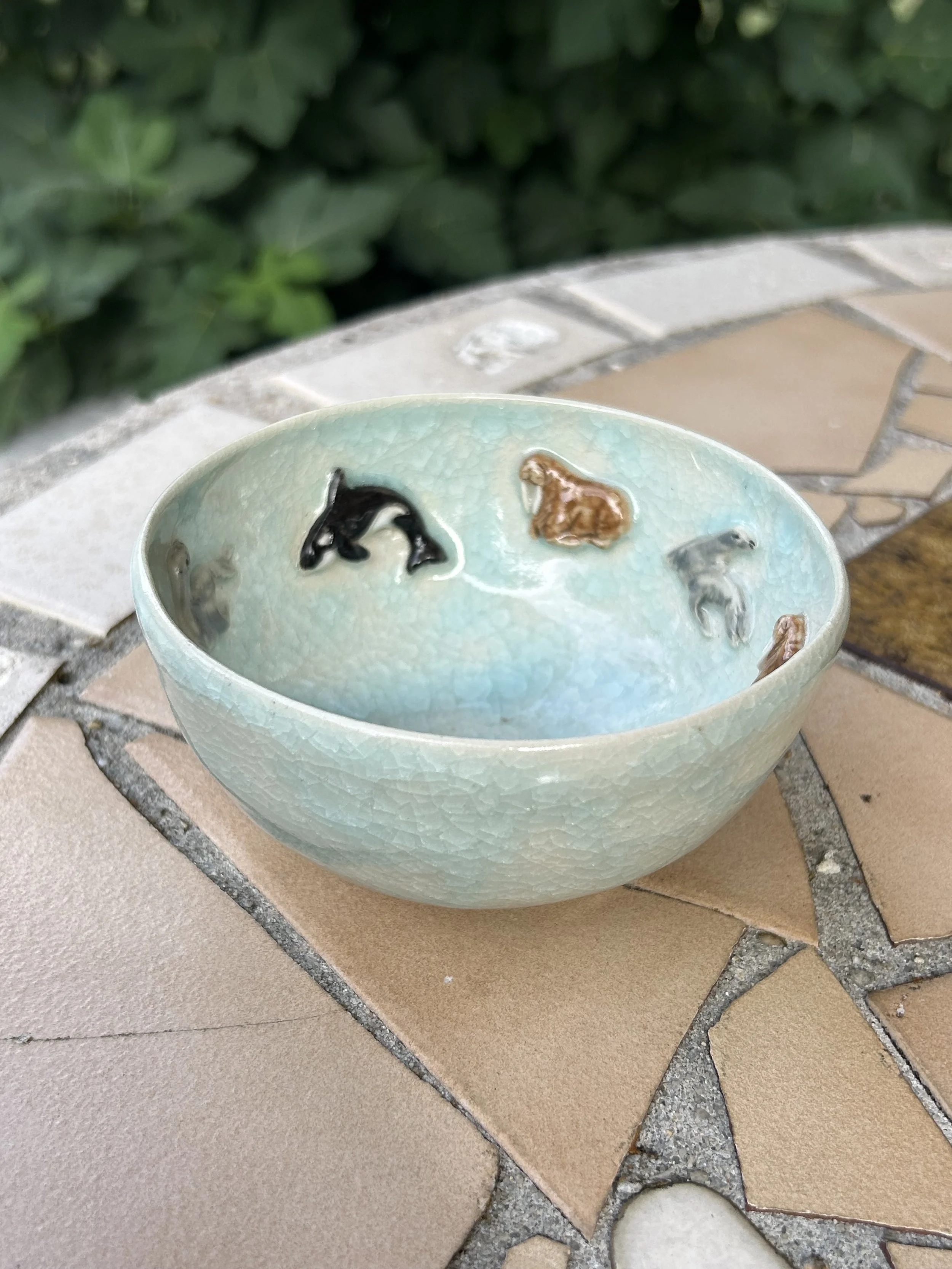 Arctic Sea Lions, Orcas, and Walrus Bowl