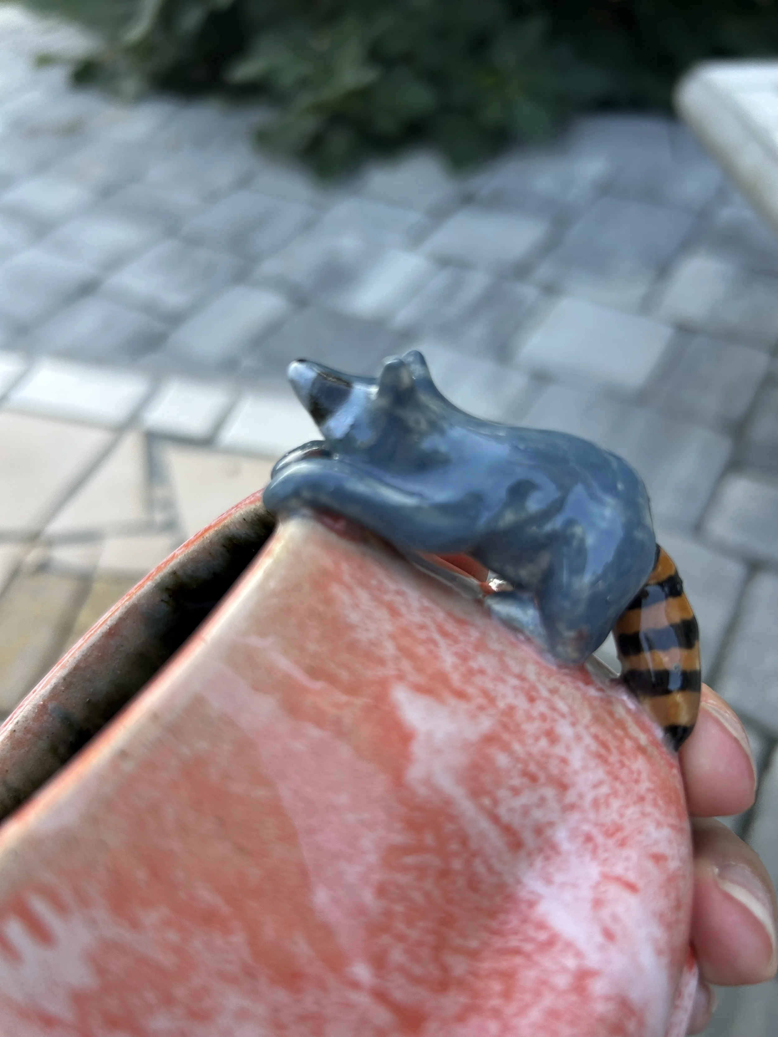 IMG_0355.jpeg