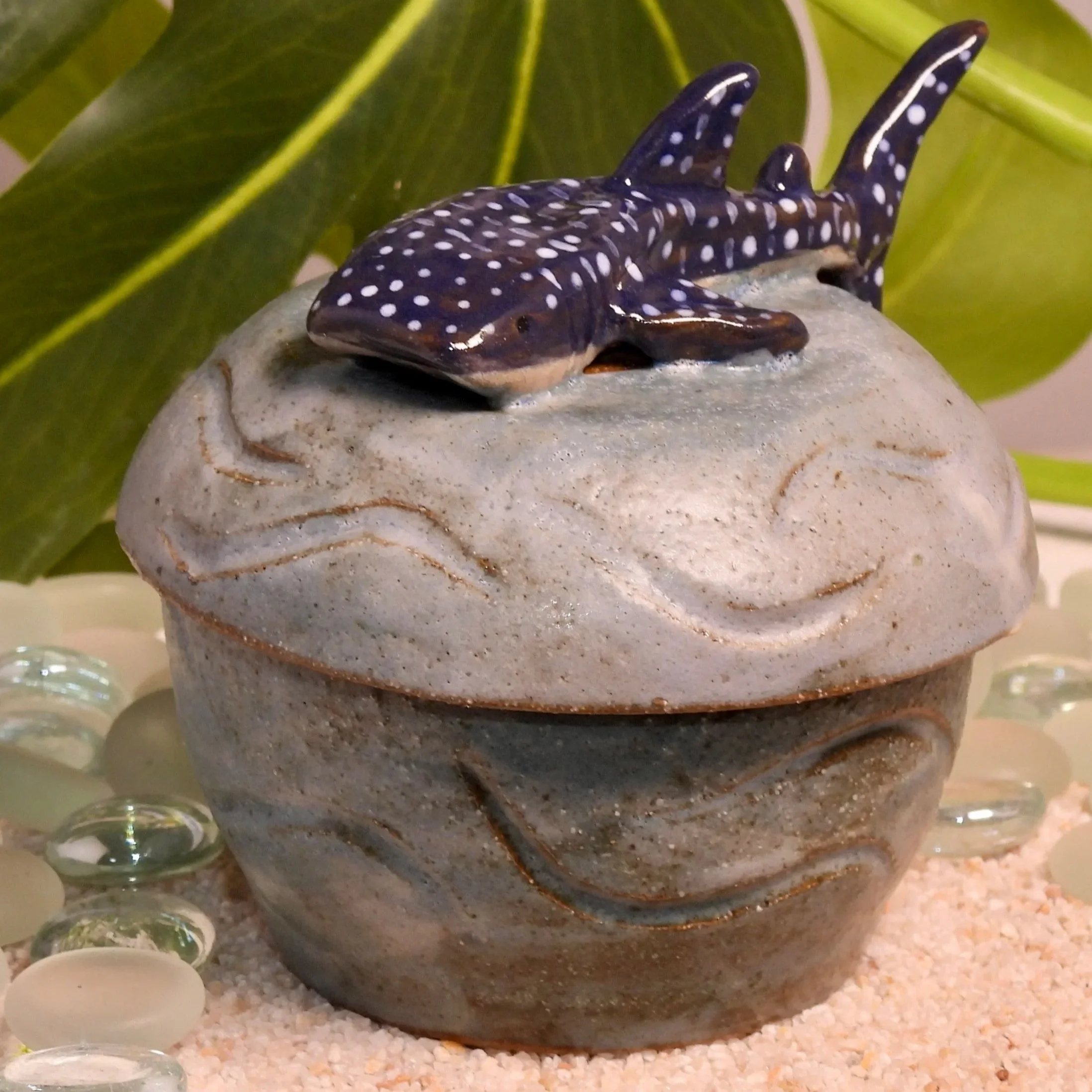 Whale Shark Acorn Jar (Seconds)