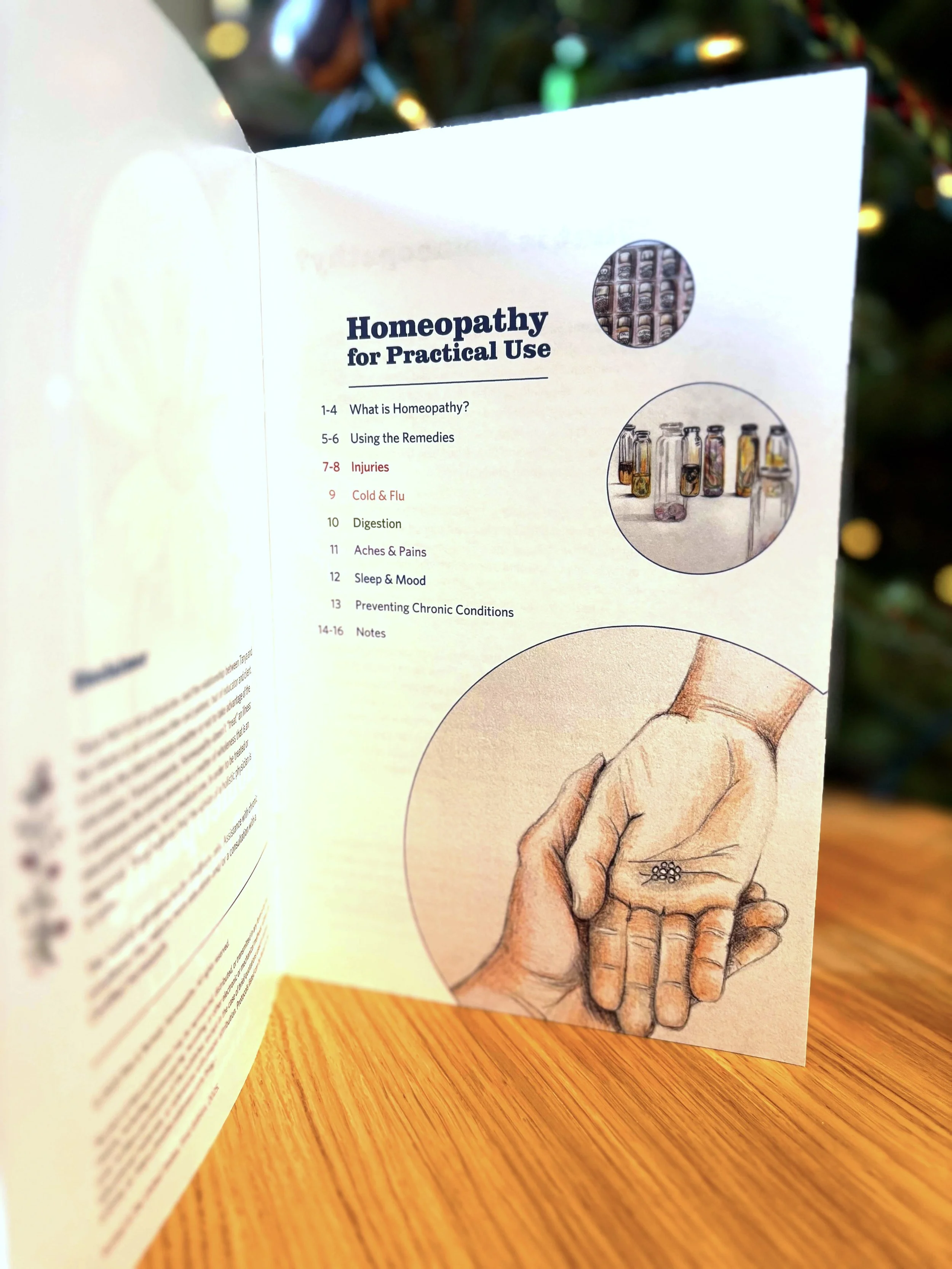 tableofcontents.jpg (Copy)