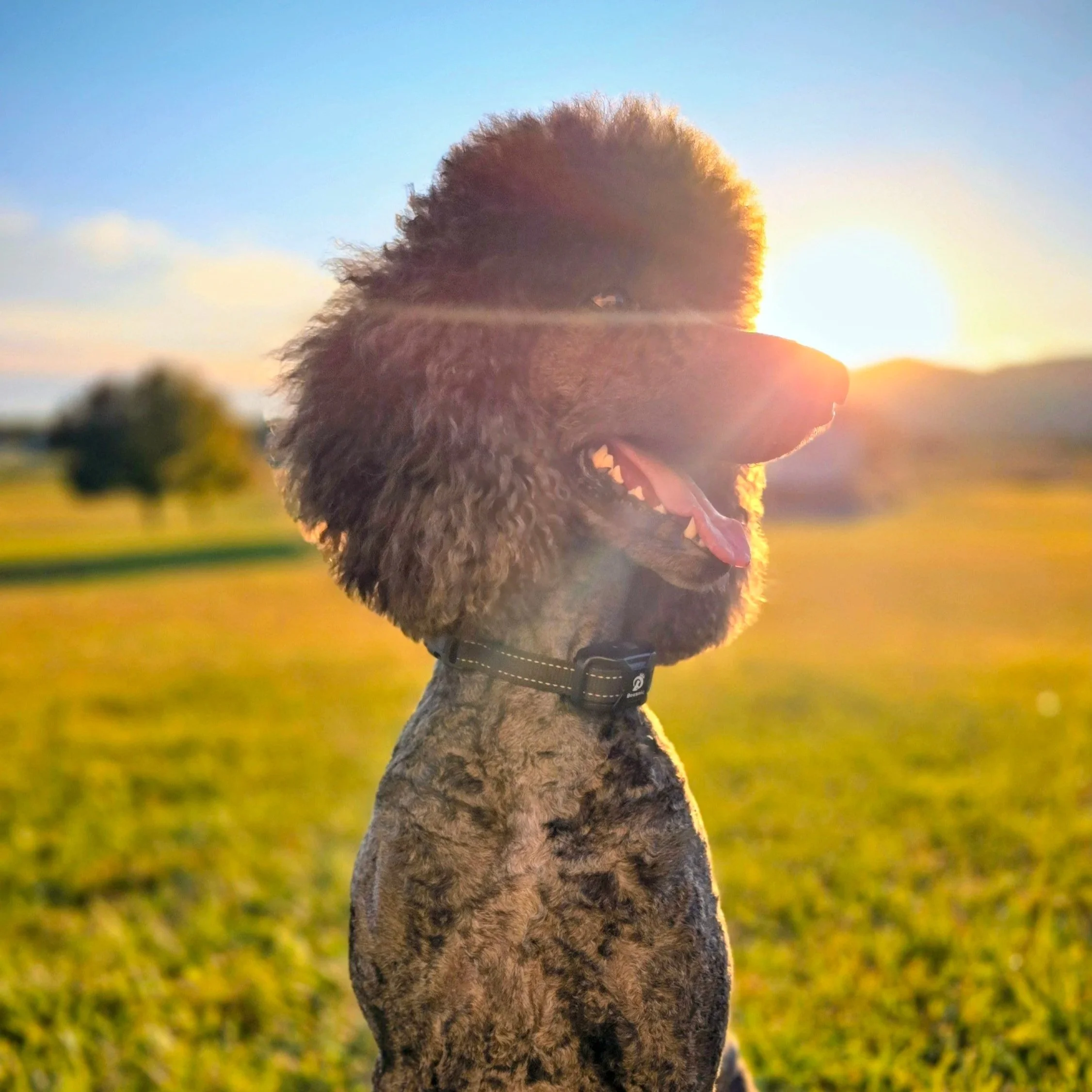 Several wooden picture frames of different colors and finishes stacked on a metallic surface outdoors.