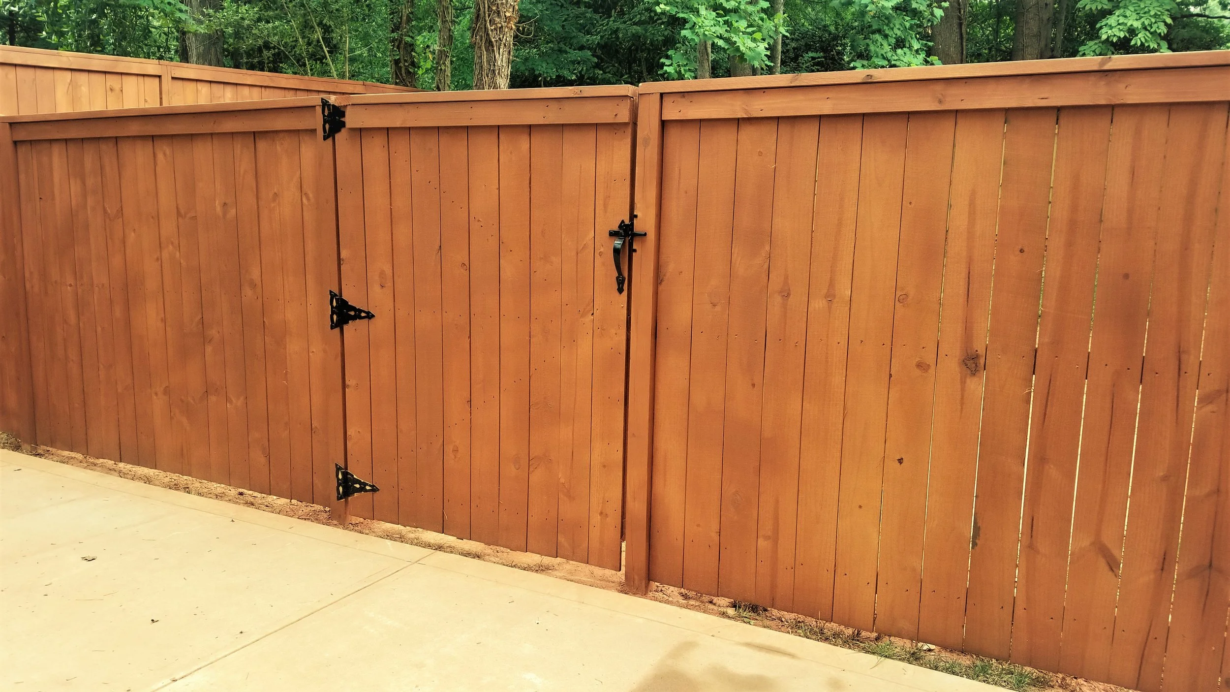 Stained Privacy Fence w Top Rail.jpg