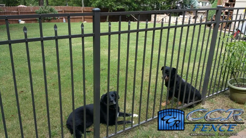 Fence-to-Keep-Dogs-In.jpg