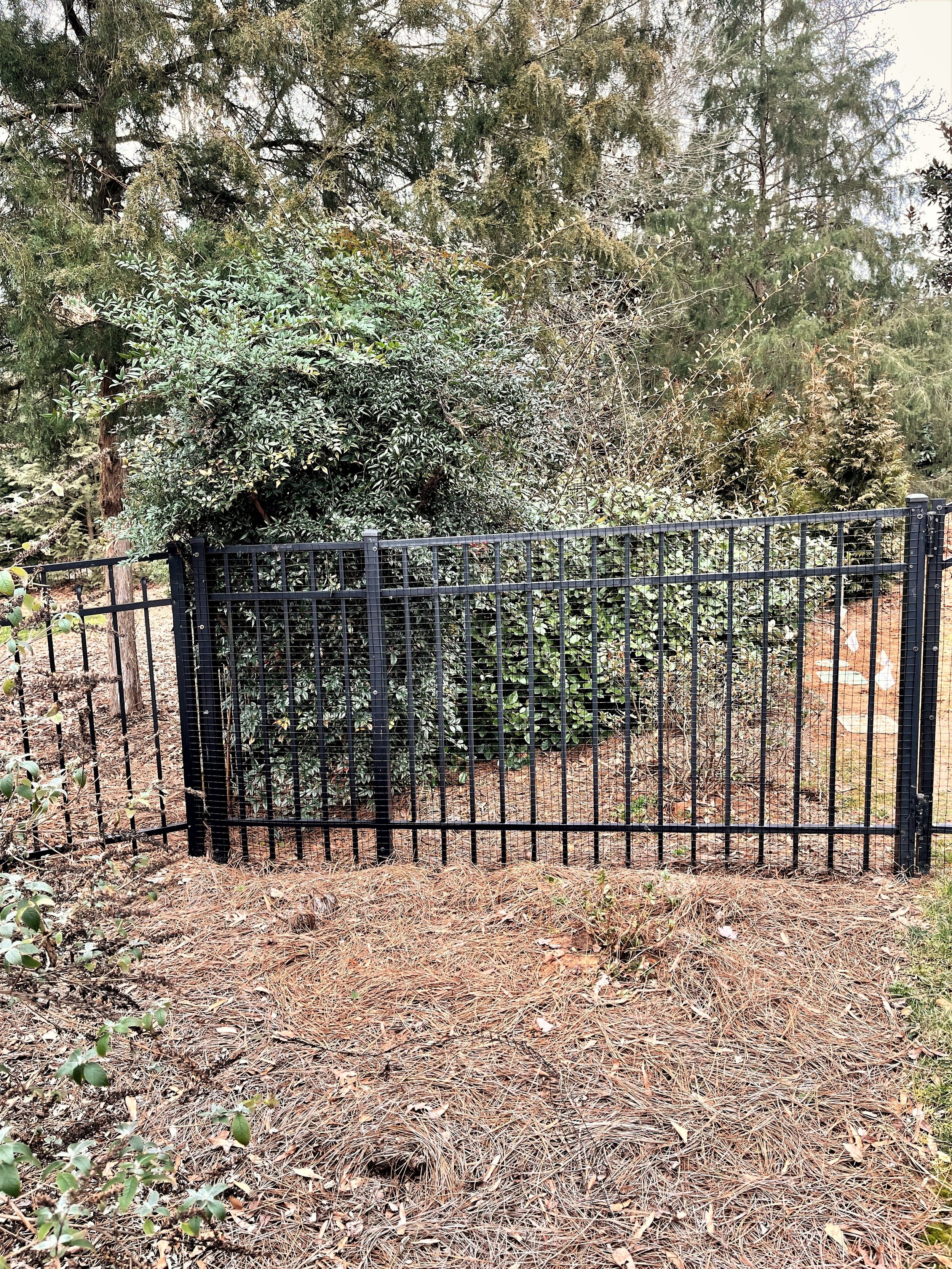 Wire Mesh on Black Aluminum 2.jpg