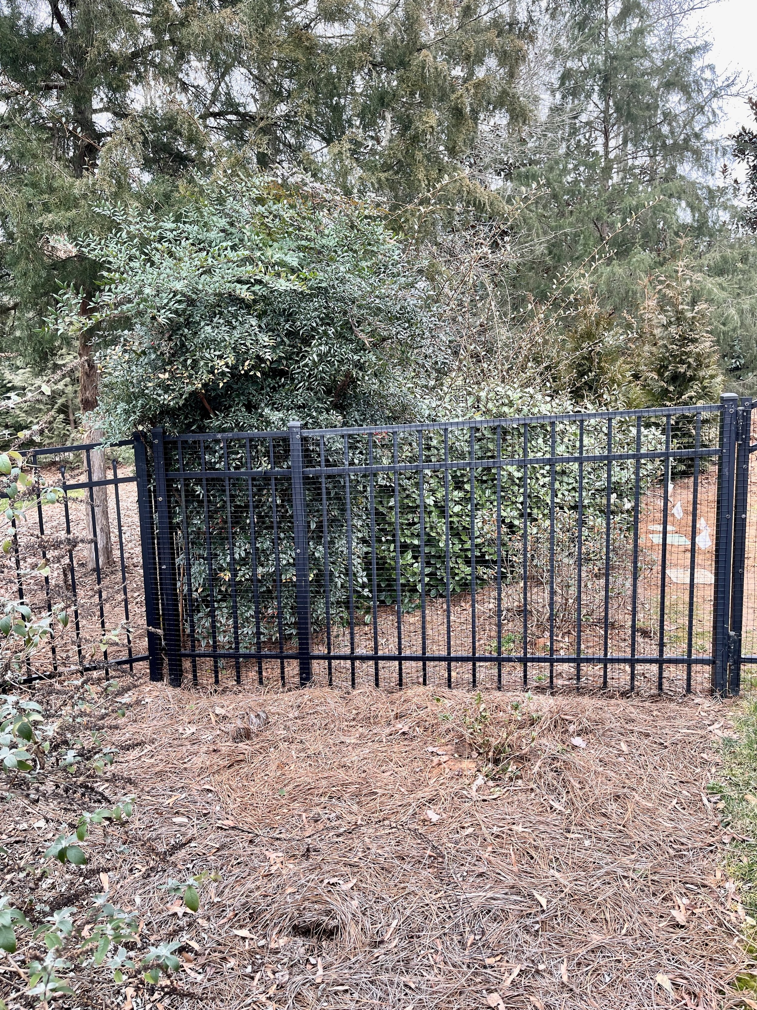 1x1 wire meshing with black washers 2.jpeg