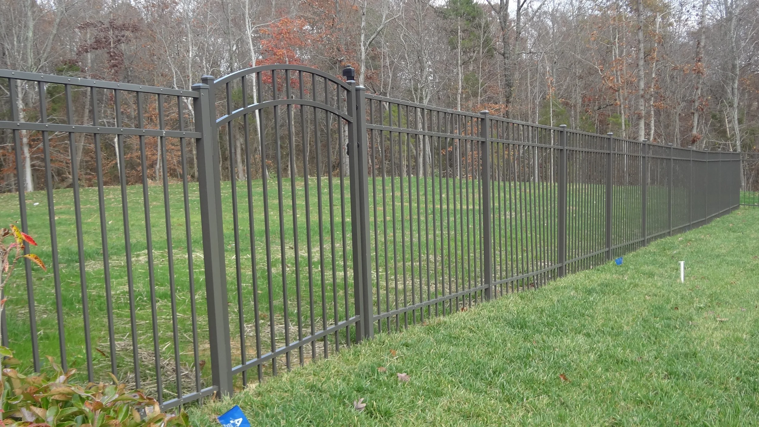 54 inch Tall Fence.JPG
